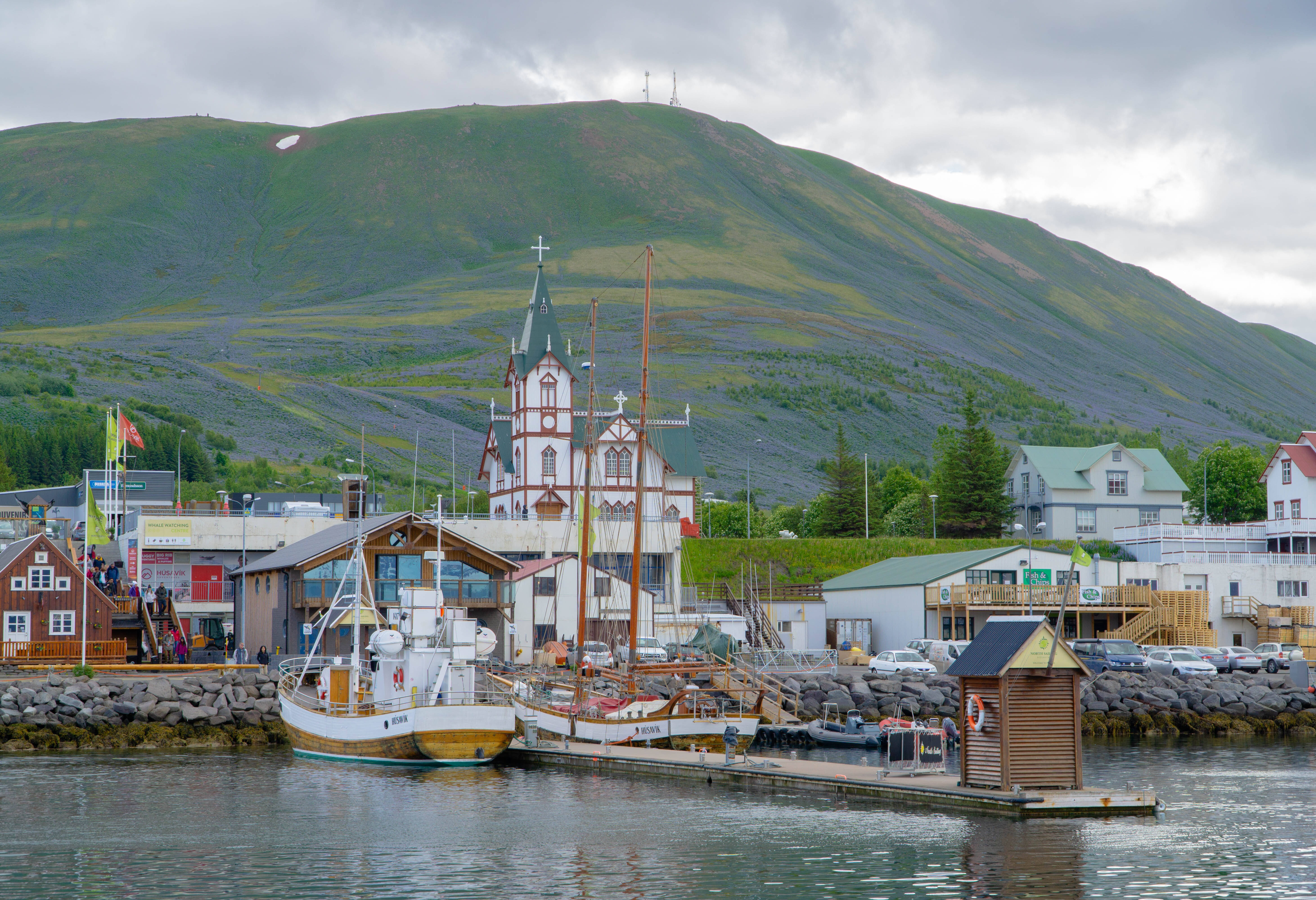 Walvis hoofdstad Húsavík in IJsland
