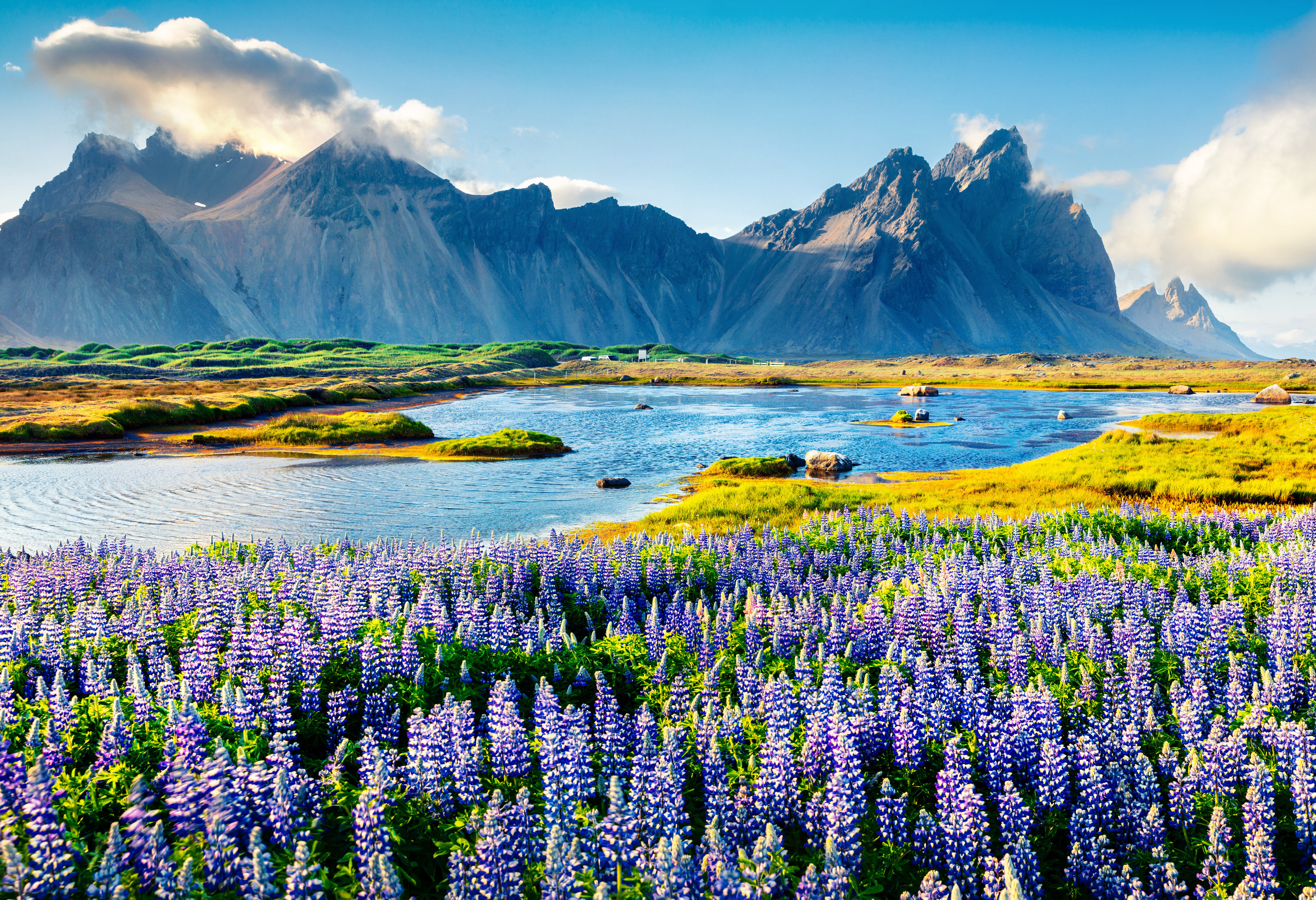 Stokksnes in IJsland