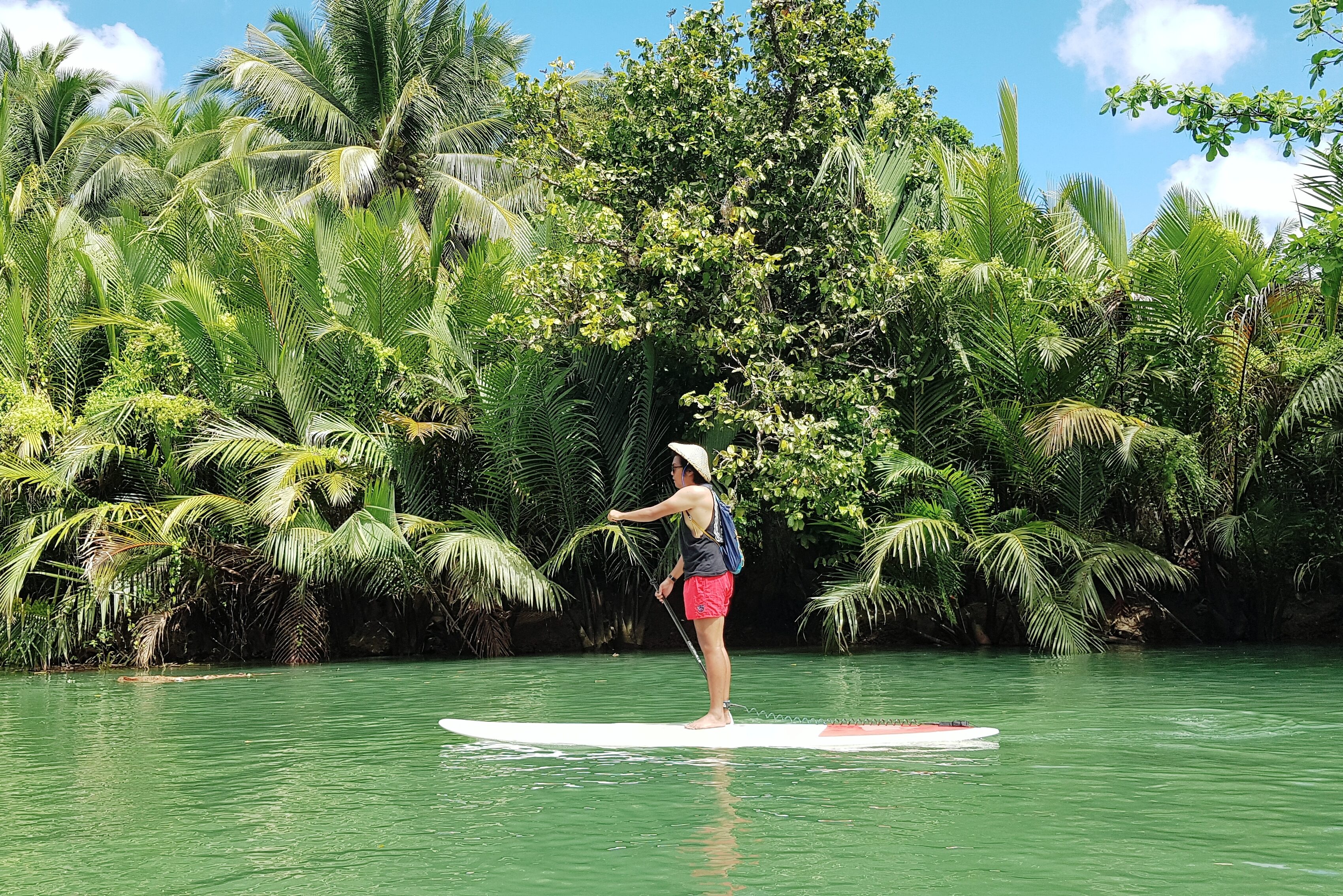 Suppen op de Loboc-rivier op Bohol