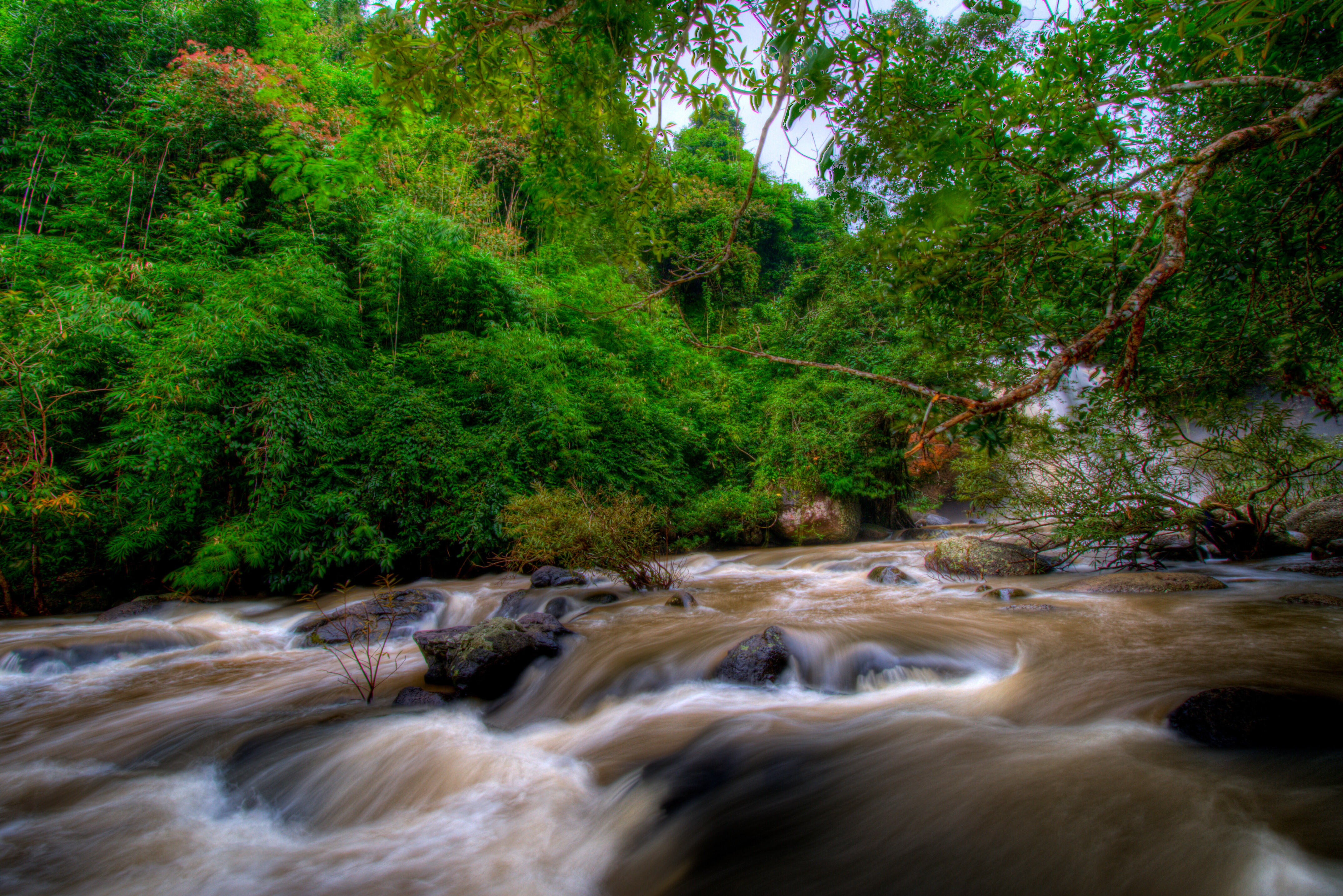 Rivier in Khao Yai nationaal park