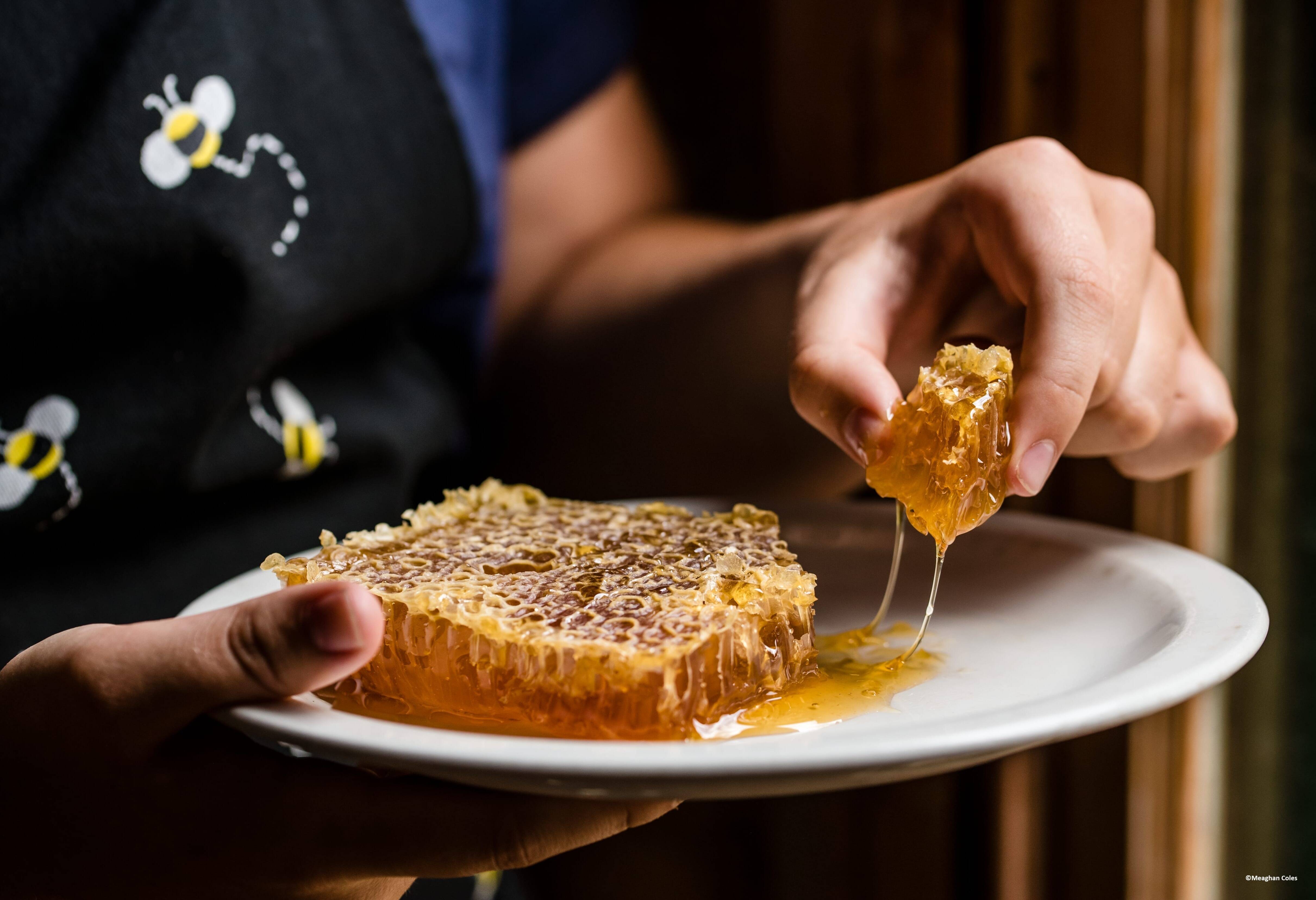 Clifford's Honey Farm op Kangaroo Island in Australie