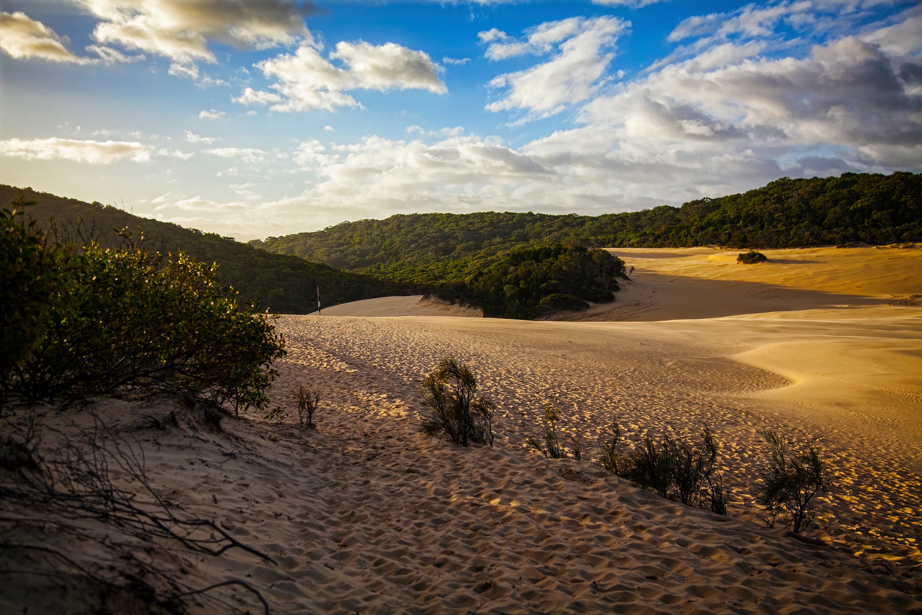 Landschap op Kgari voorheen Fraser Island in Australie