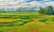 Bohol