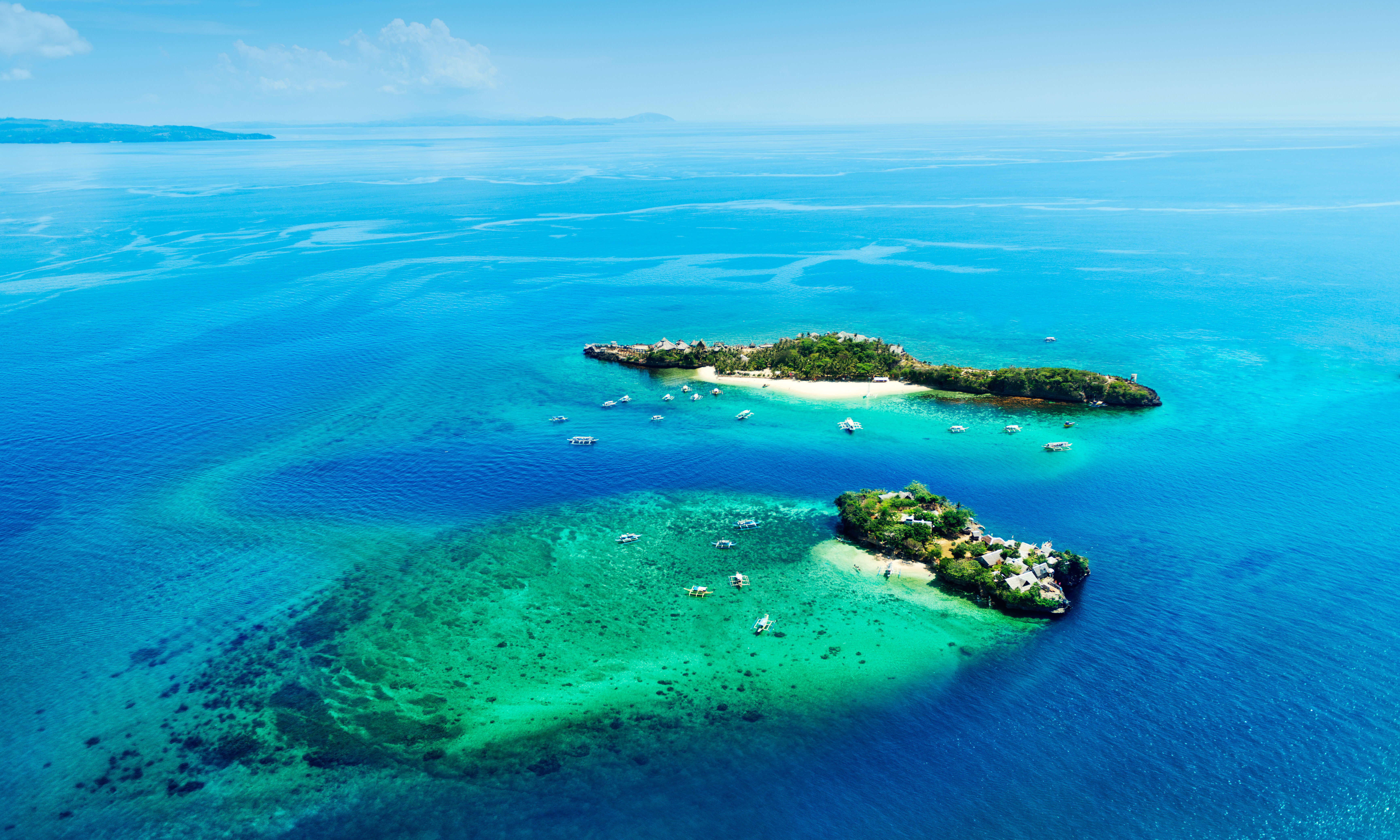 Crocodile Island