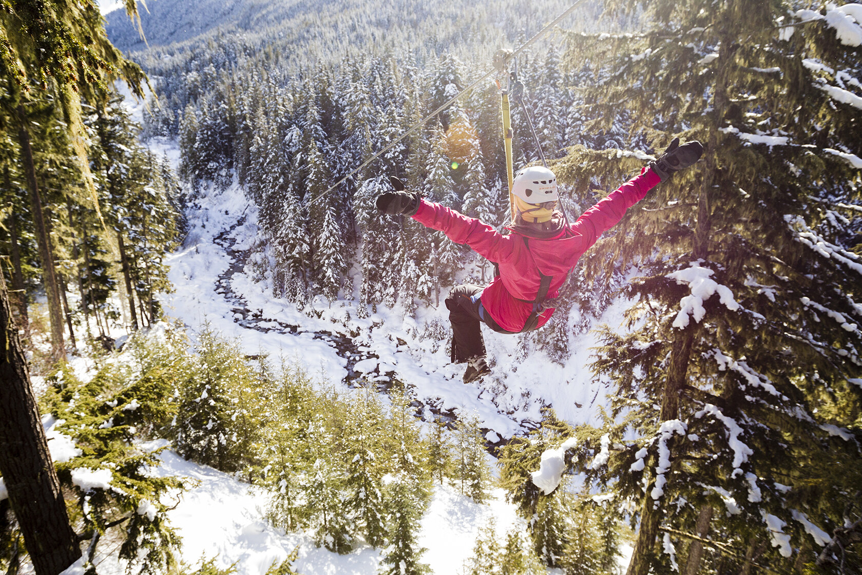 Zipline langs hoge bomen