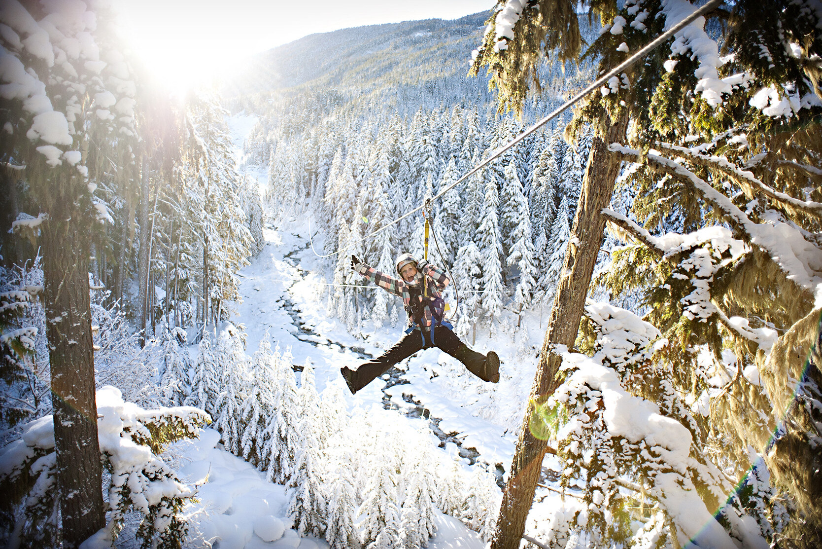 Zipline in Whistler Canada