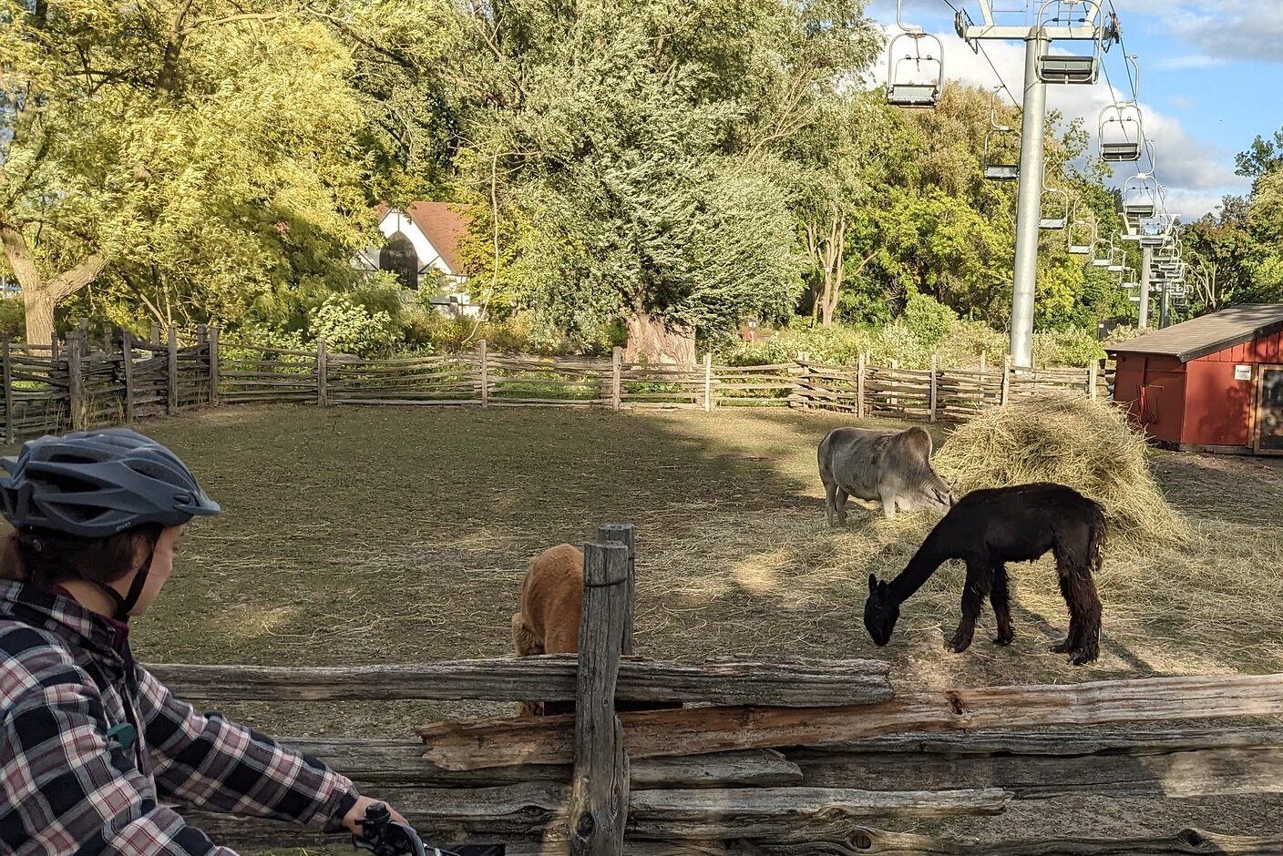 Uitzicht tijdens fietstour