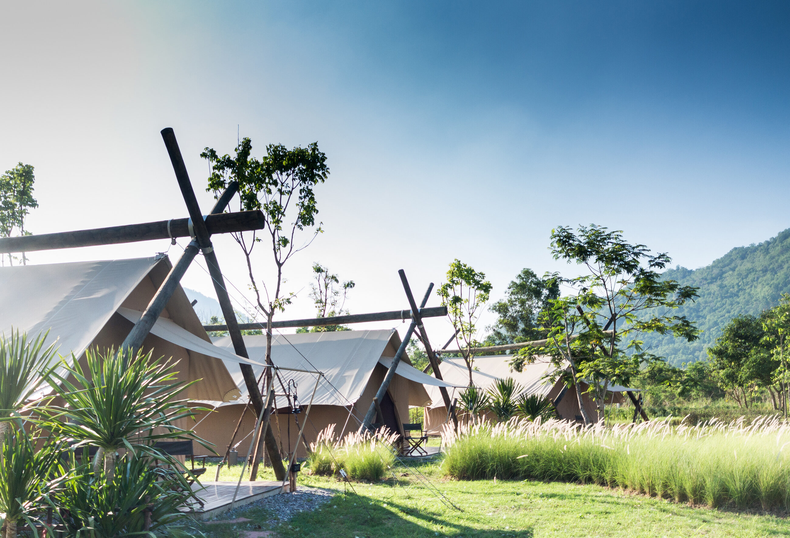 Thailand Khao Yai Lala Mukha Tented Resort Deluxe Savannah Tenten