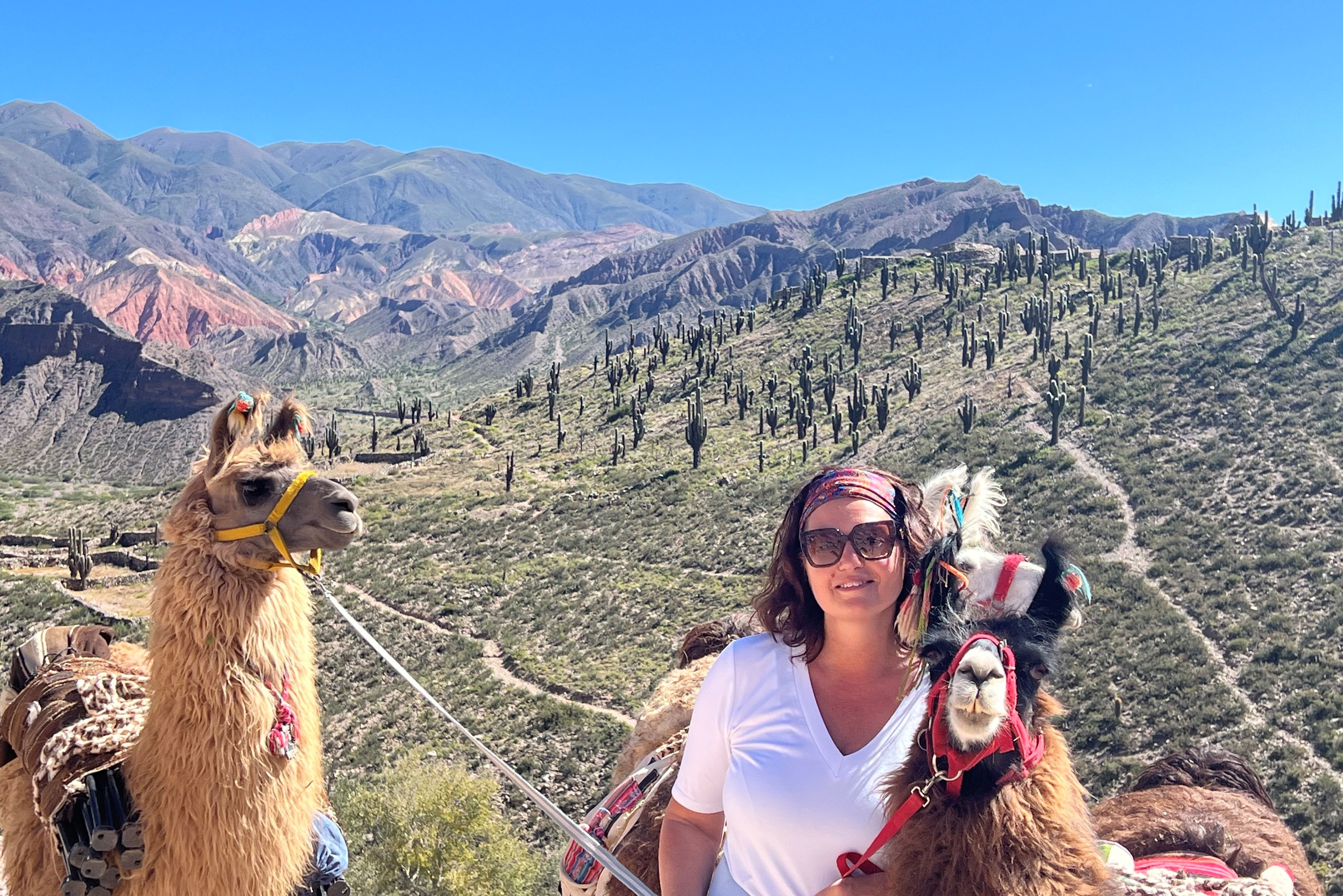 Poseren met de lama's