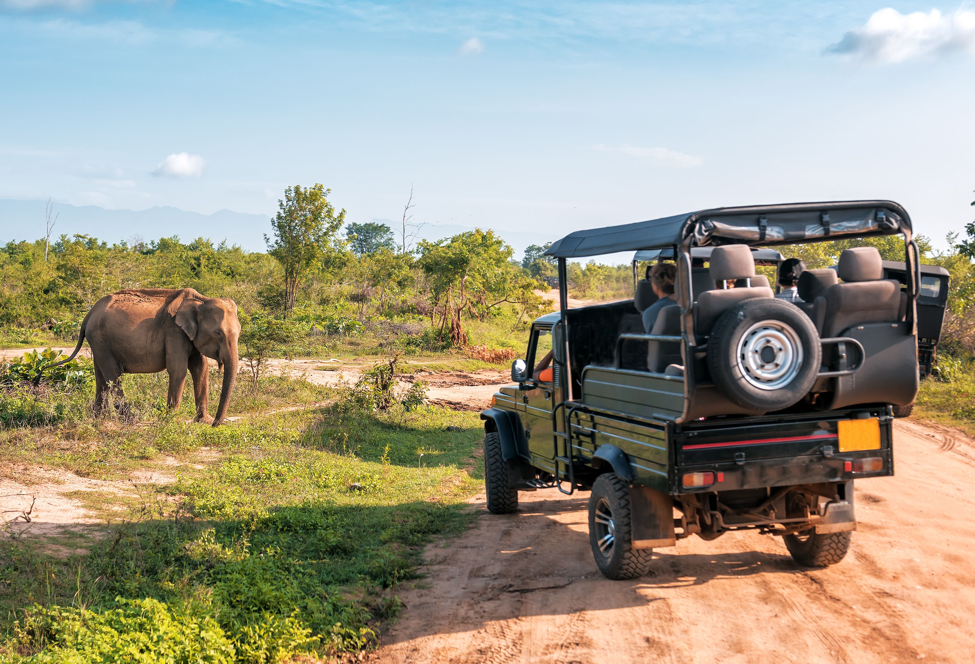 Gamedrive in Sri Lanka