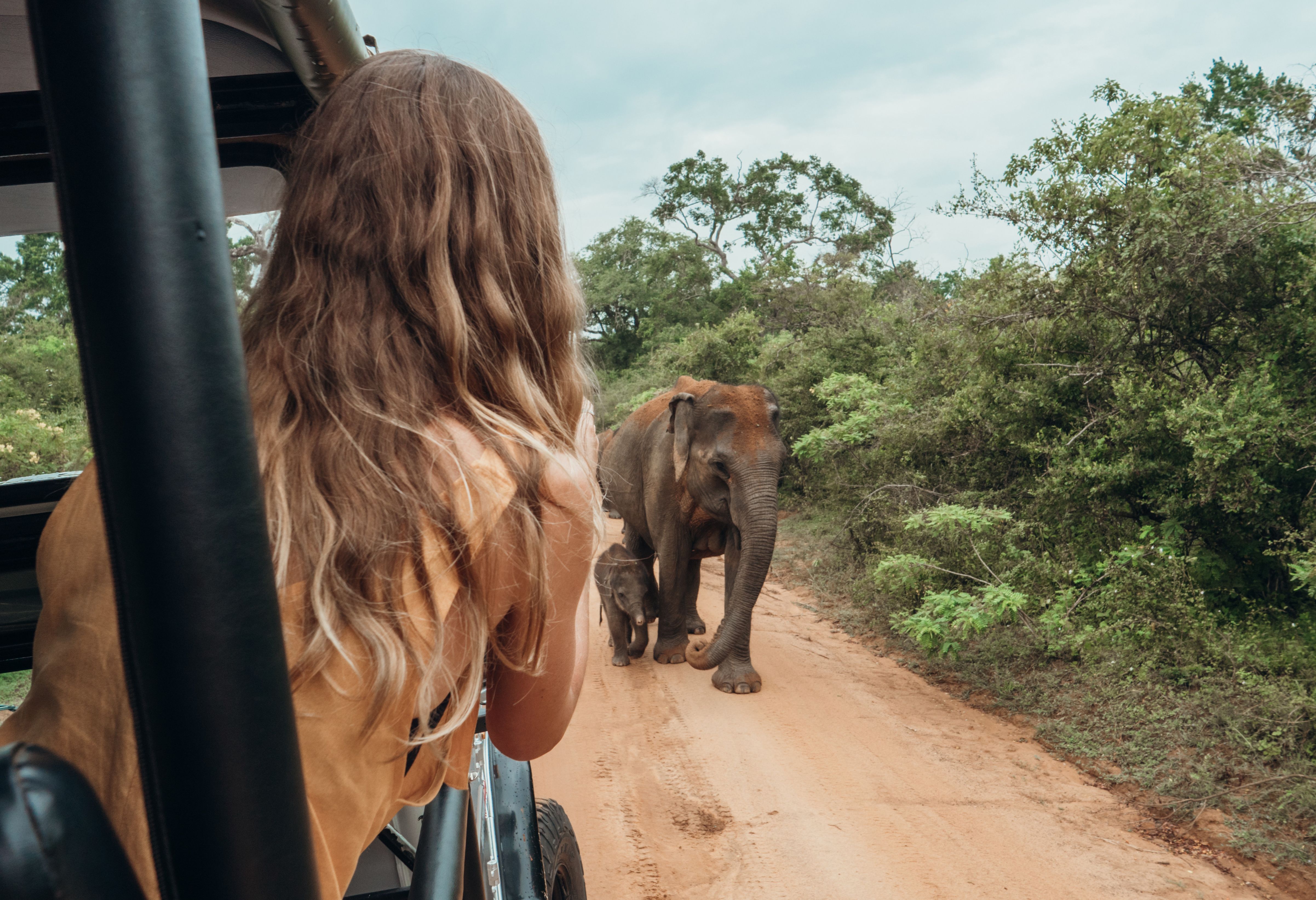 Babyolifant tijdens game drive in Sri Lanka