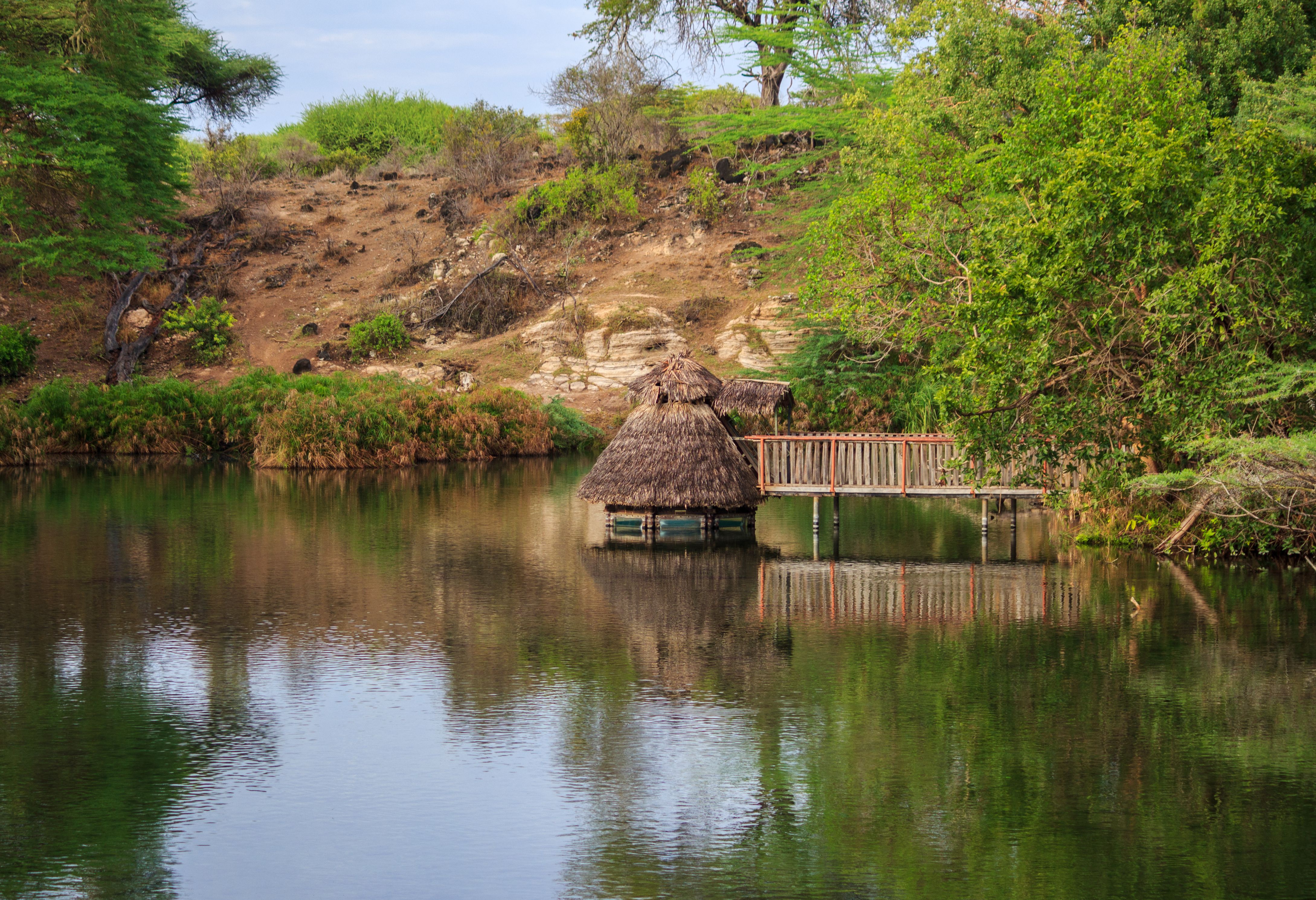 Mzima Springs in Tsavo West in Kenia