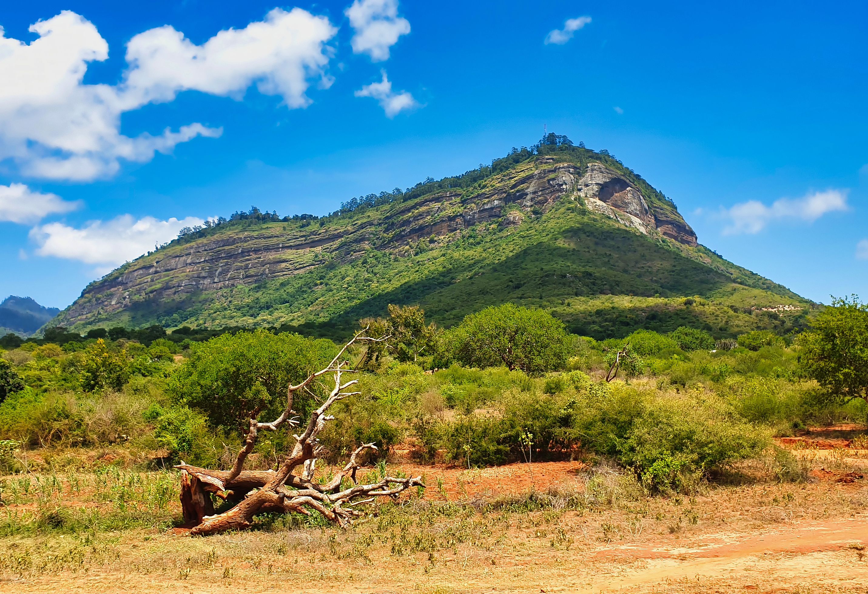 Taita Hills in Tsavo West in Kenia