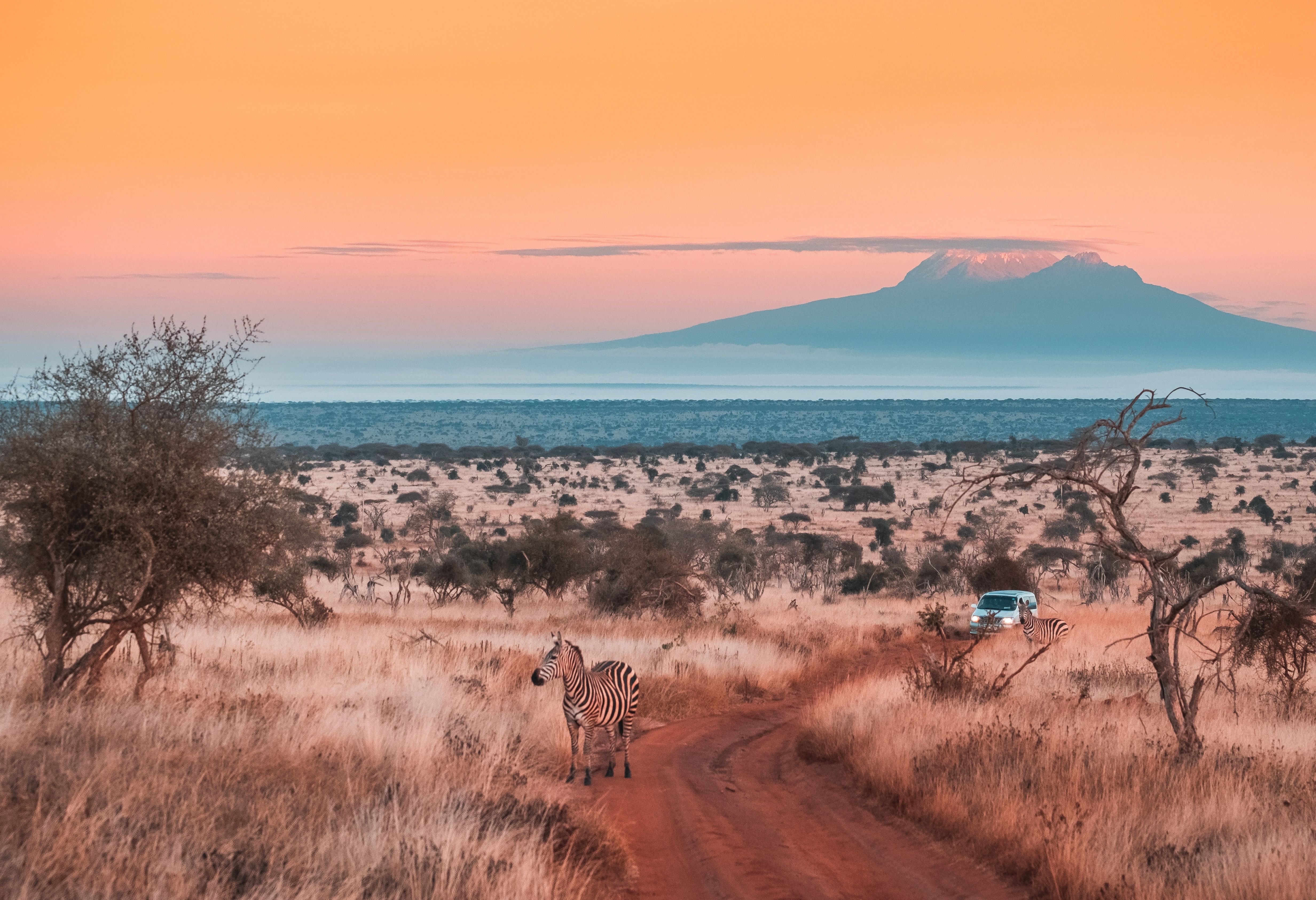 Savannes bij het verlaten van Tsavo West in Kenia