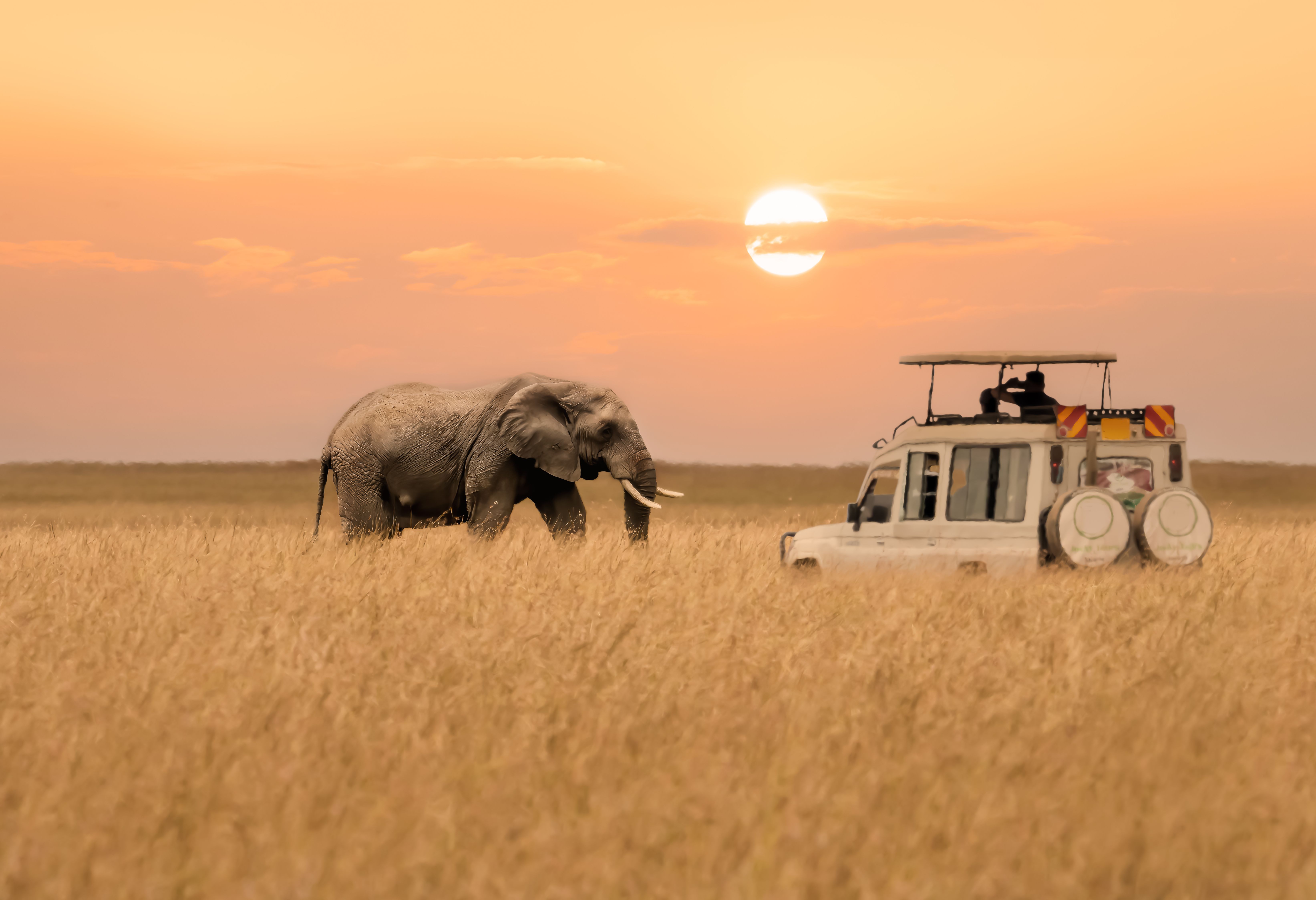 Op gamedrive in de Masai Mara in Kenia