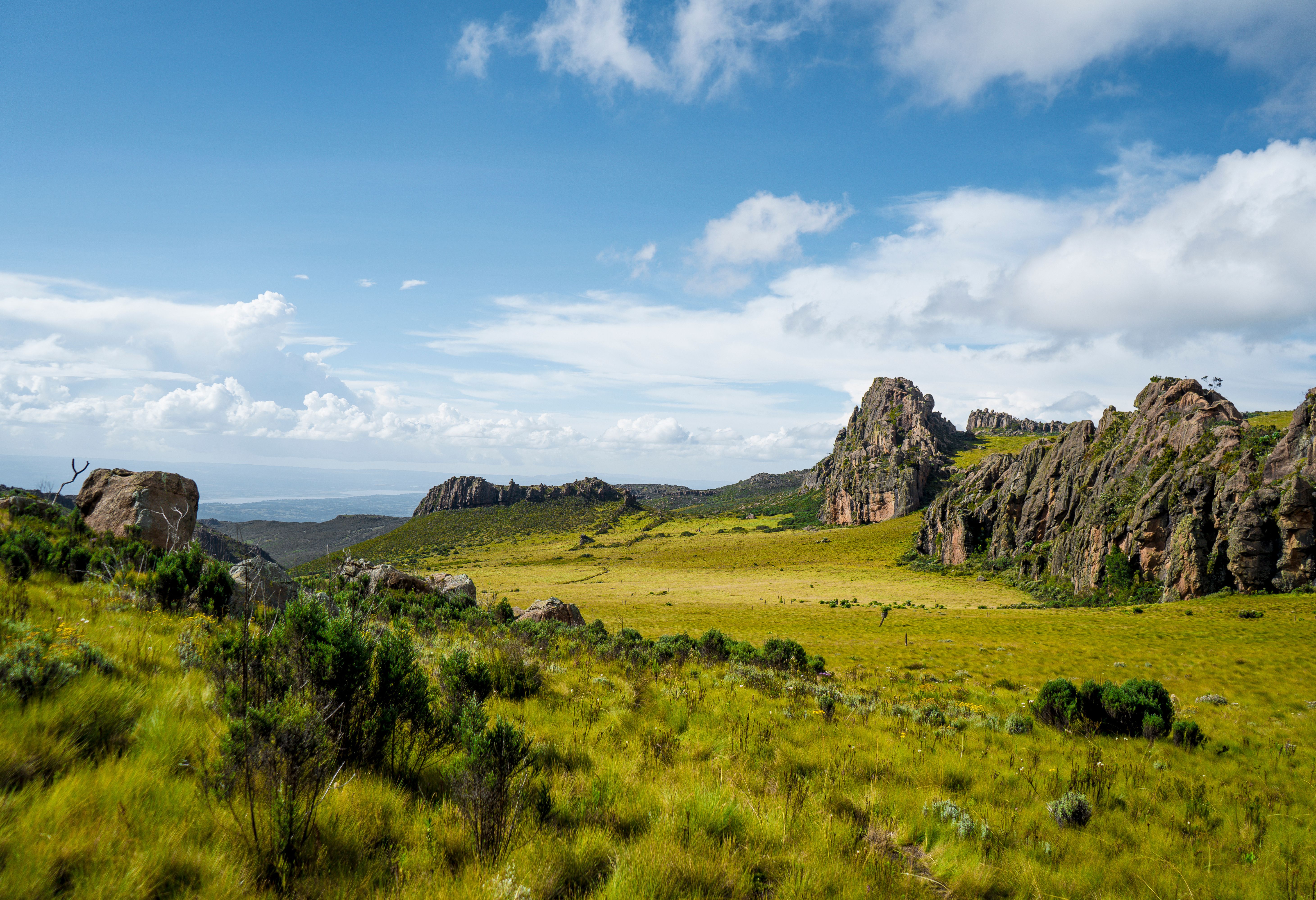 Prachtig landschap van het Aberdare National Park in Kenia