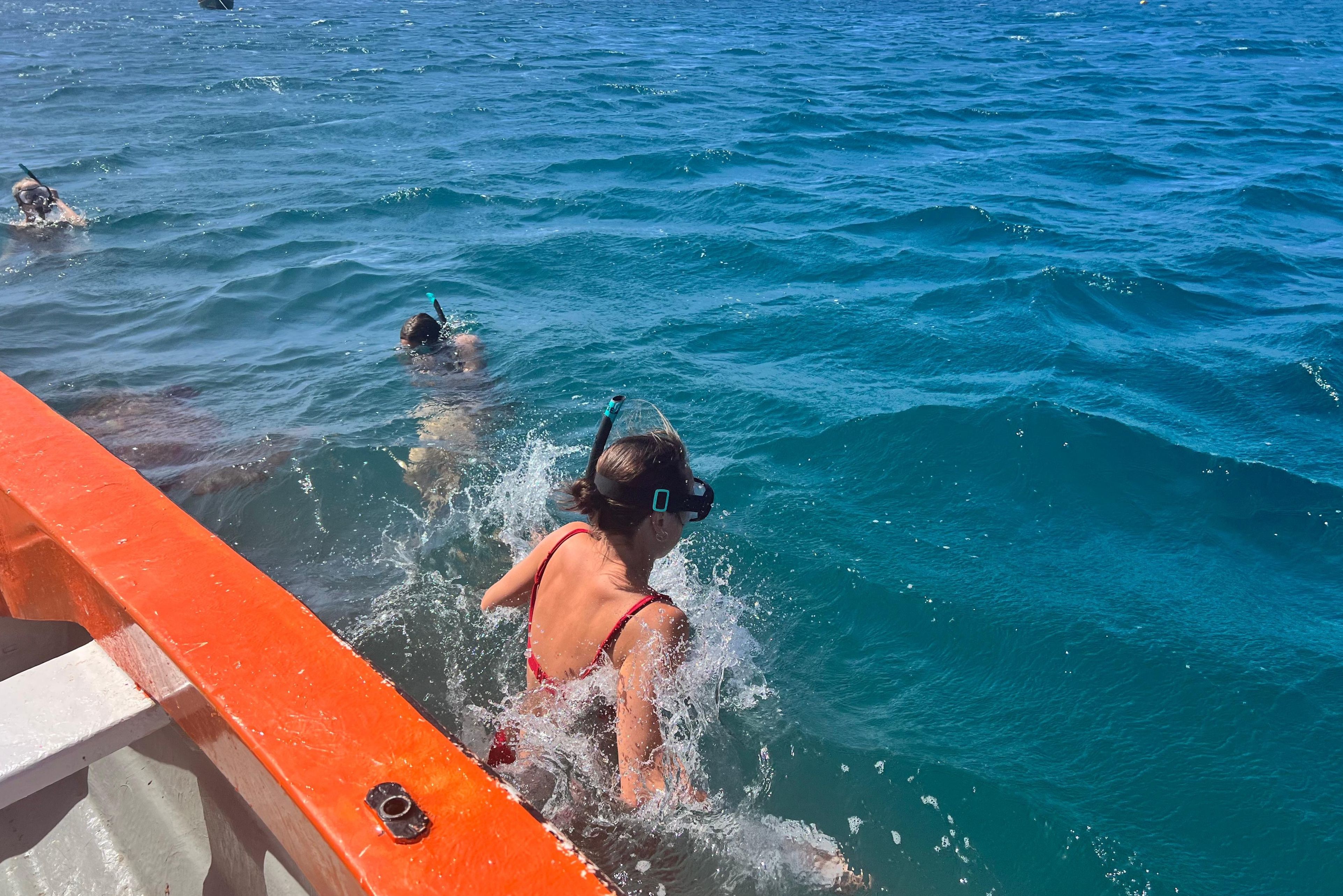 Snorkelen met Zeeschildpadden