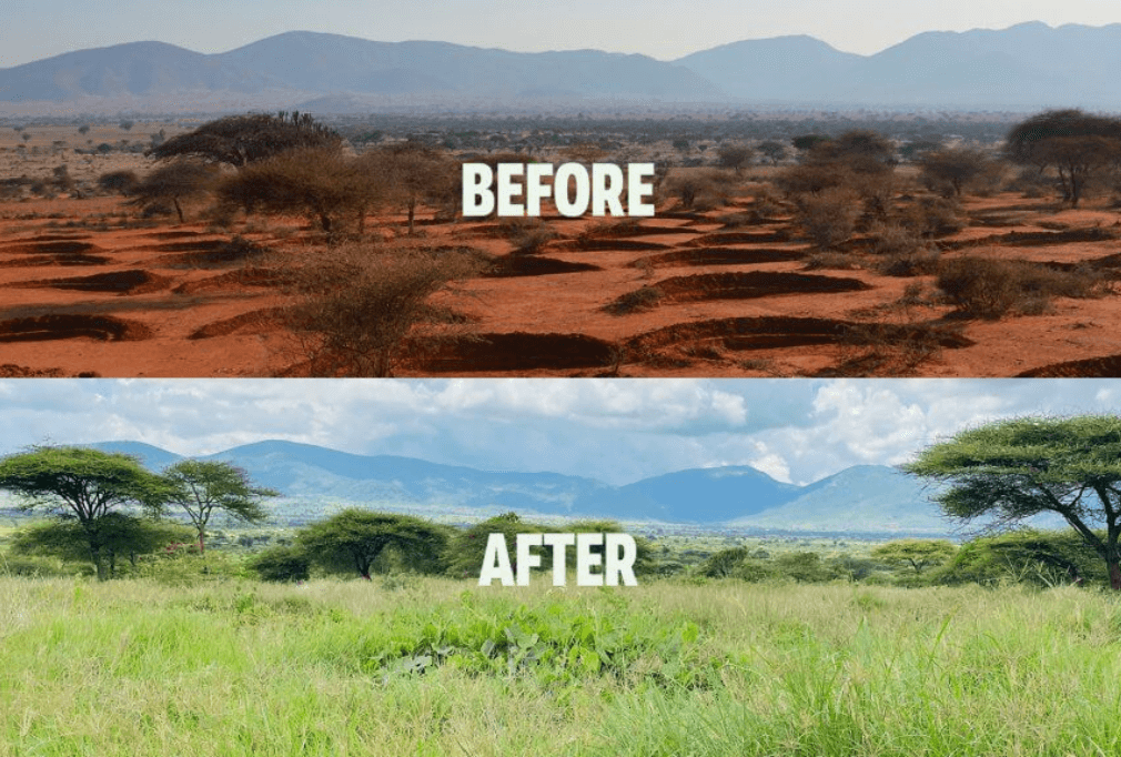 Justdiggit 333travel