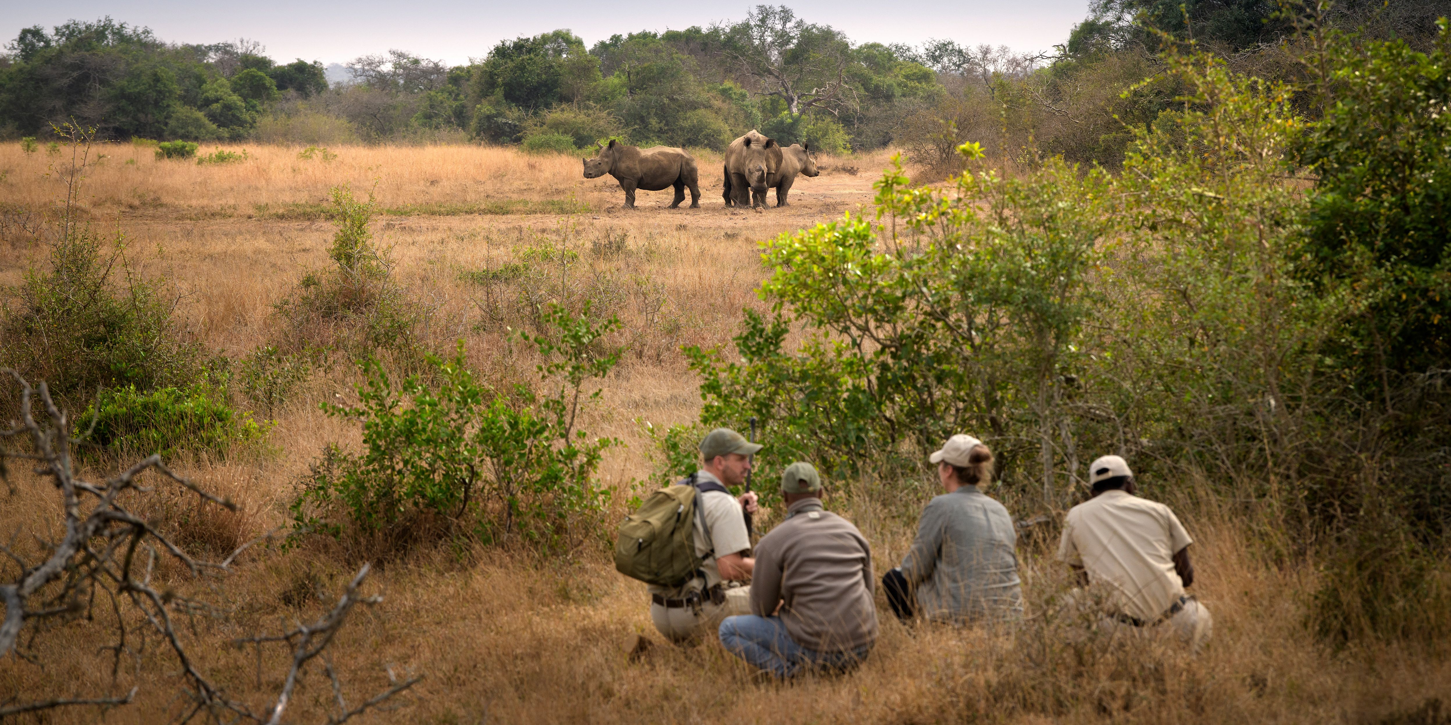 Safari reizen met impact