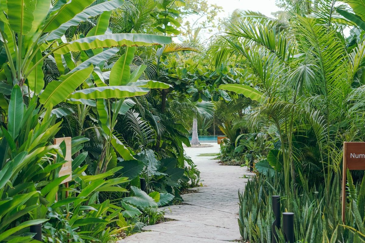 Costa Rica Santa Teresa Hotel Nantipa Tuin