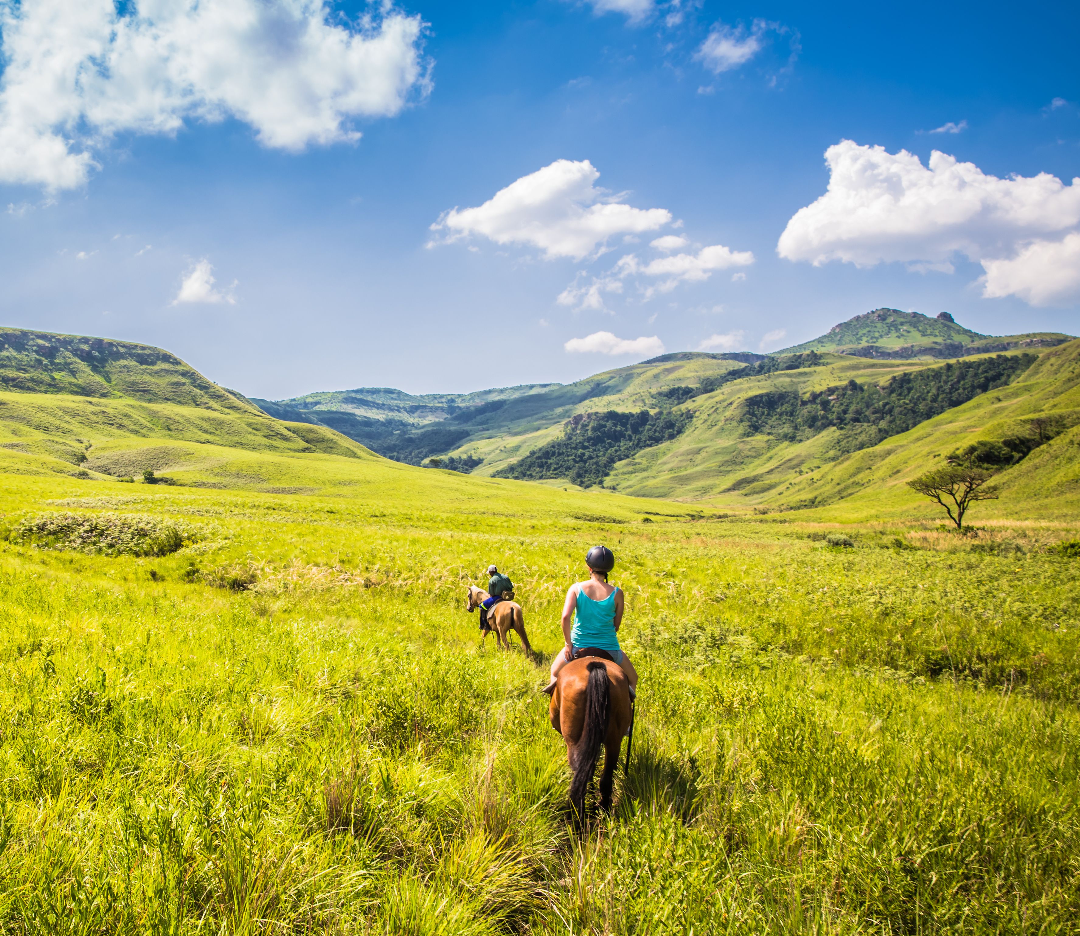 Paardrijden dierenwelzijn