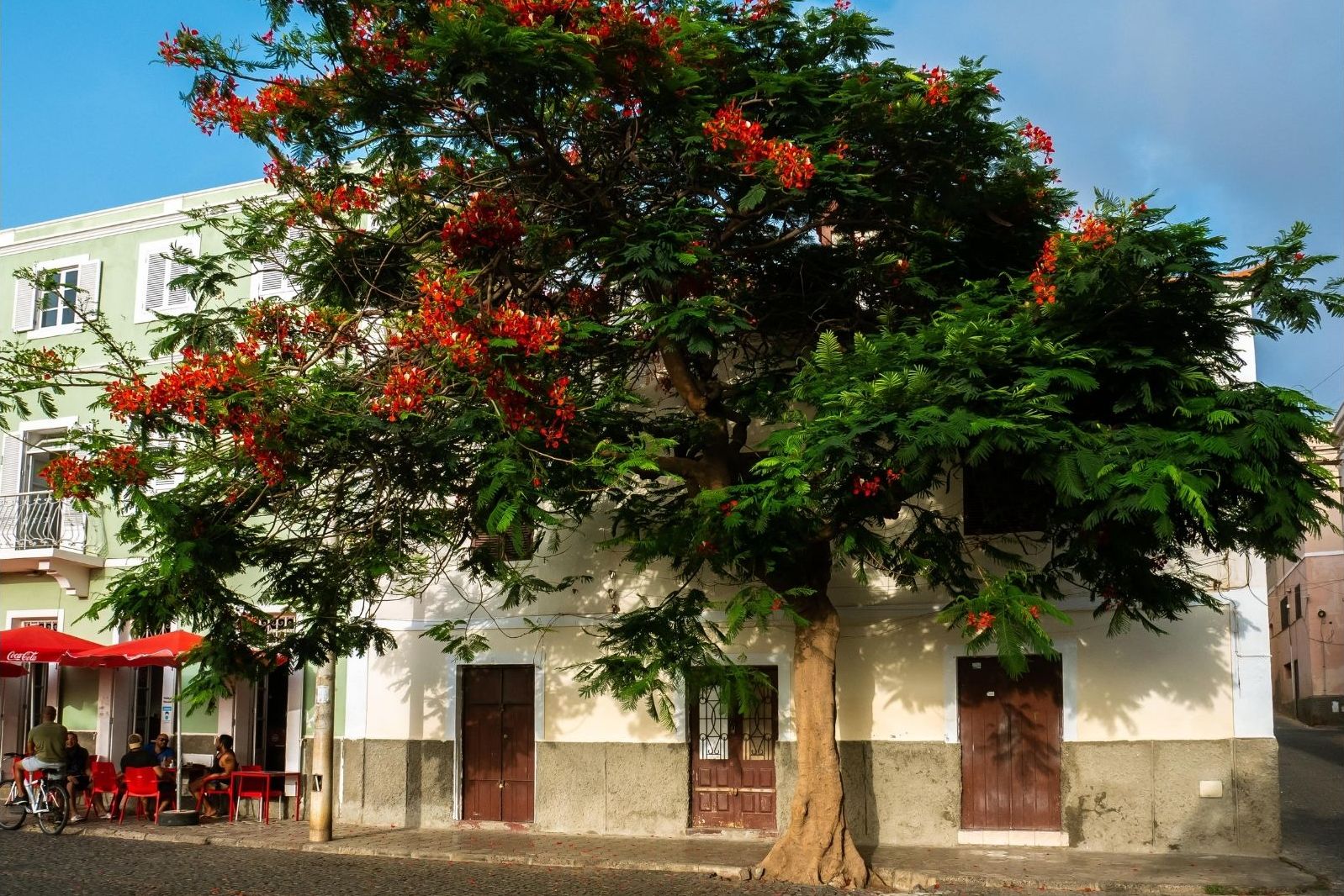 Kaapverdie Sao Vicente Mindelo Casa da Djedja Omgeving