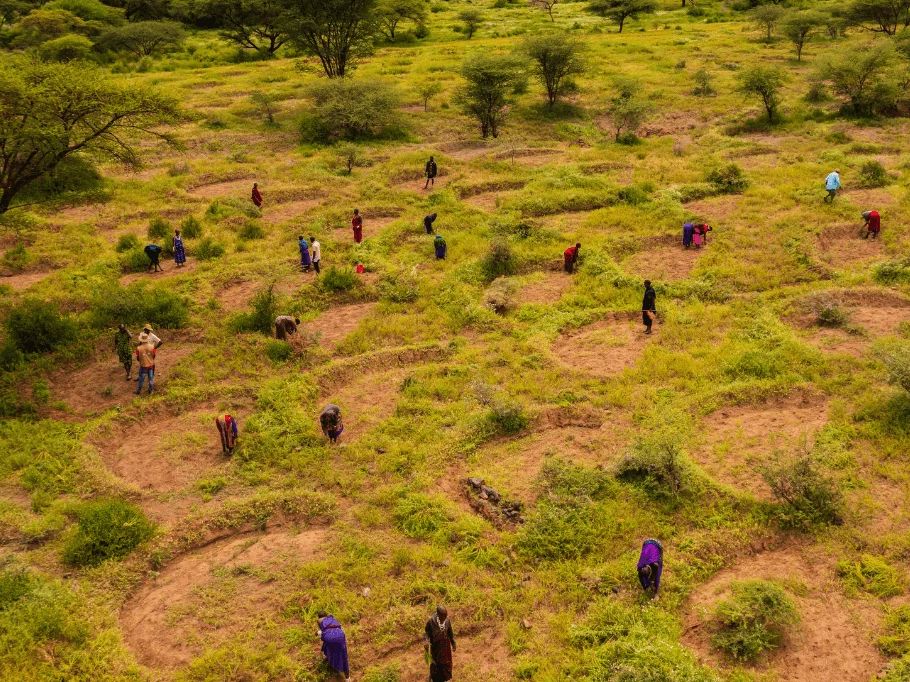 Justdiggit en 333travel