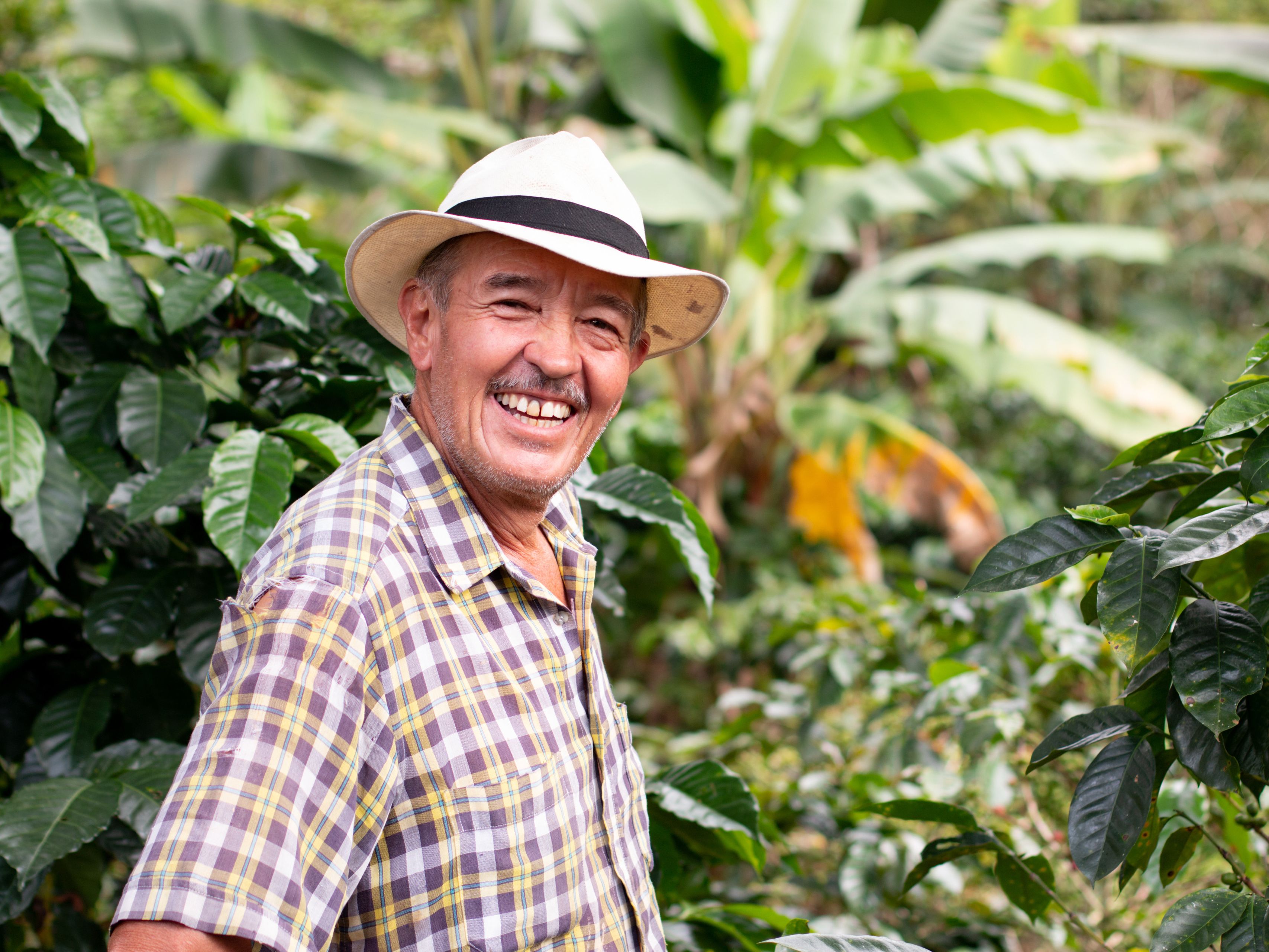 Travelifecertificering