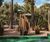 Marokko-MarrakechLe-Jardin-Secret