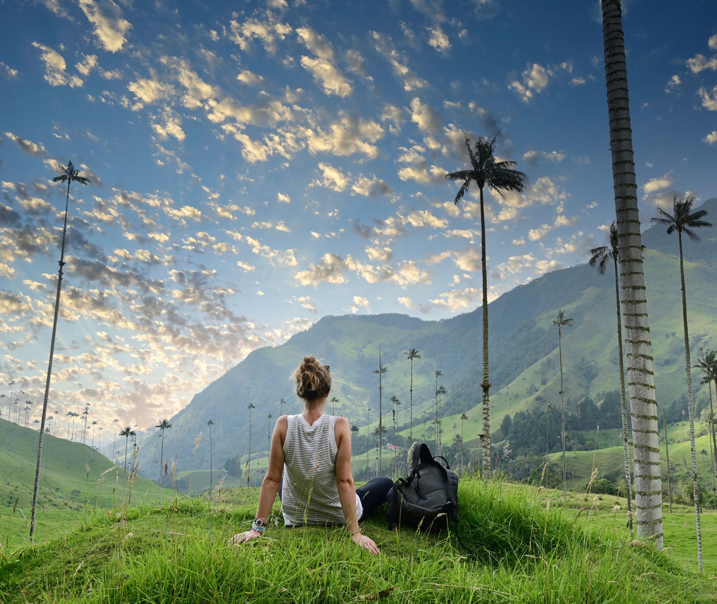 Colombia cocoa vallei waspalmen