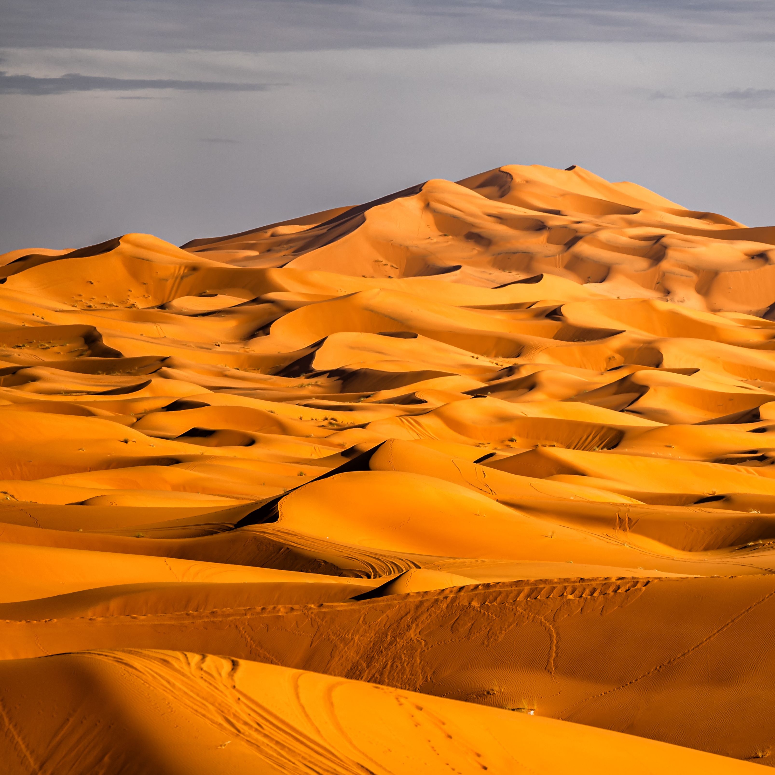 Marokko-Erg-Chebbi-woestijn-duinen