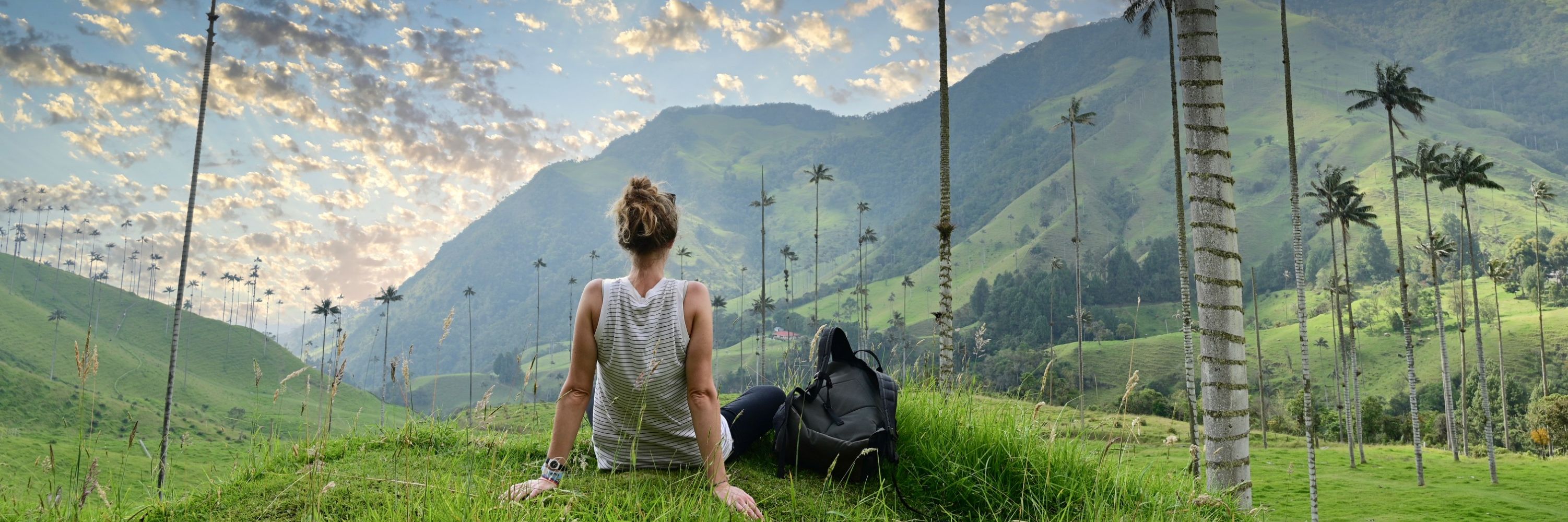 Cocora vallei waspalmen