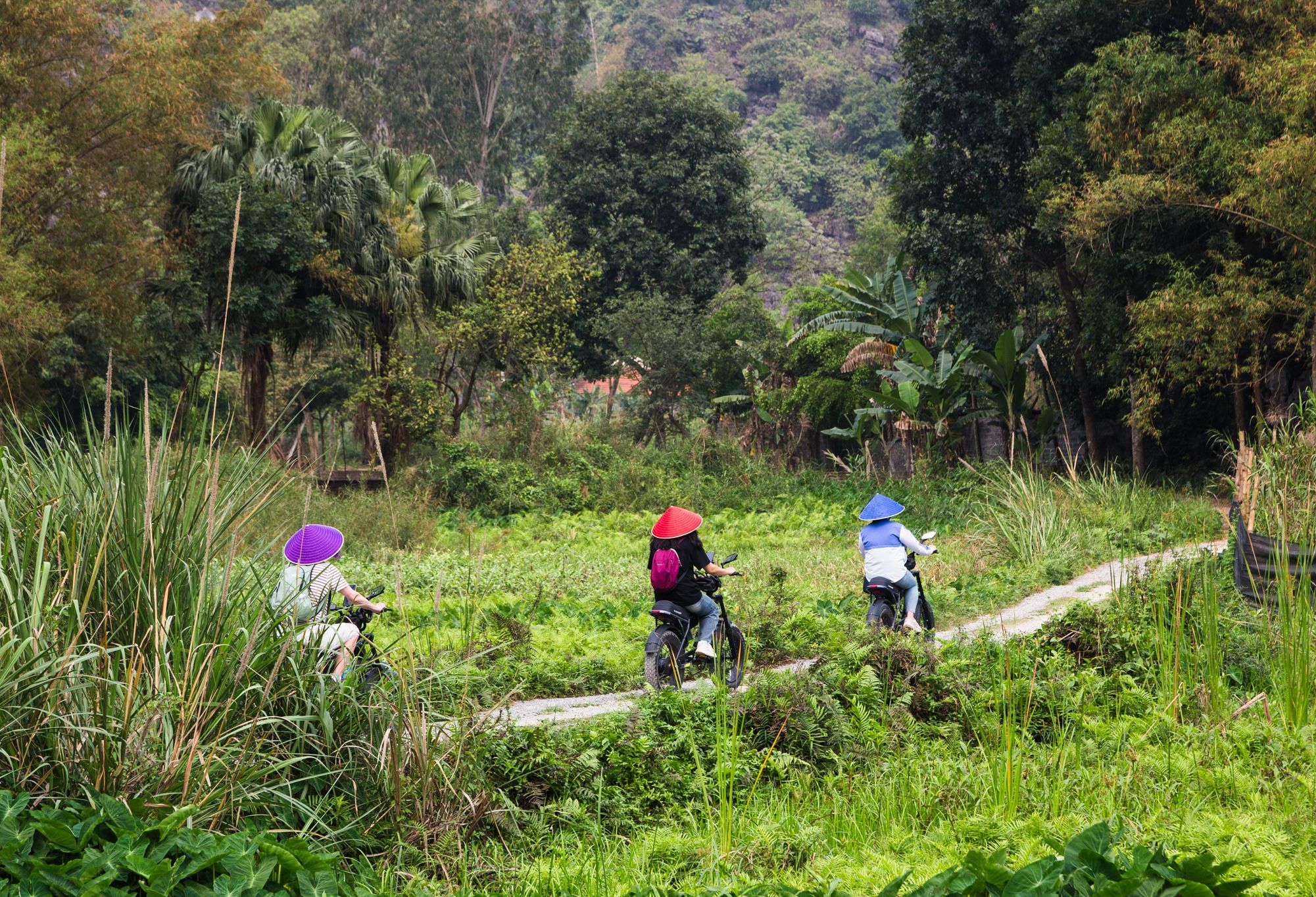 Vietnam Ninh Binh Pedal and Paddle by ebike Landschap