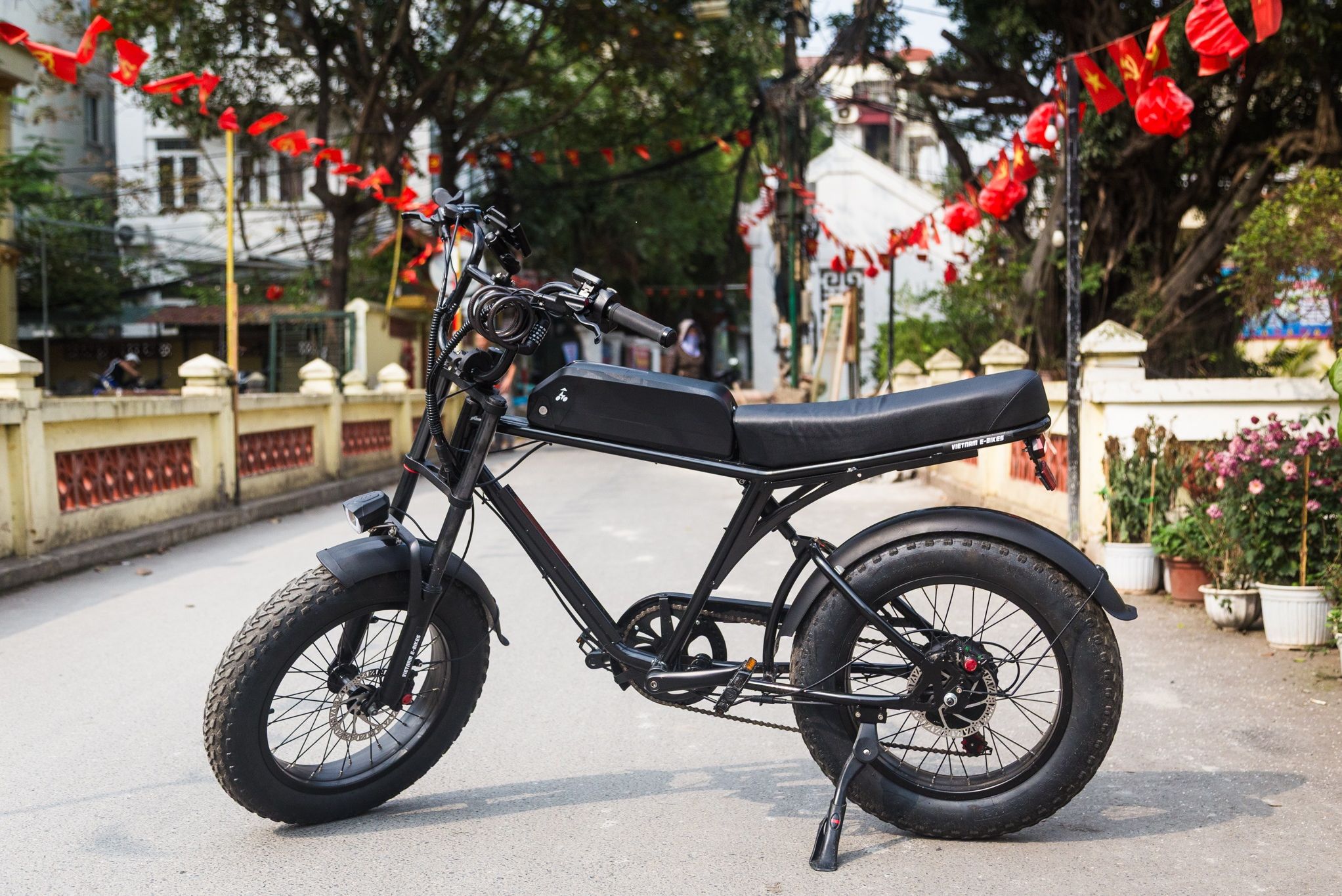 Vietnam Ninh Binh Peda and Paddle by E-bike