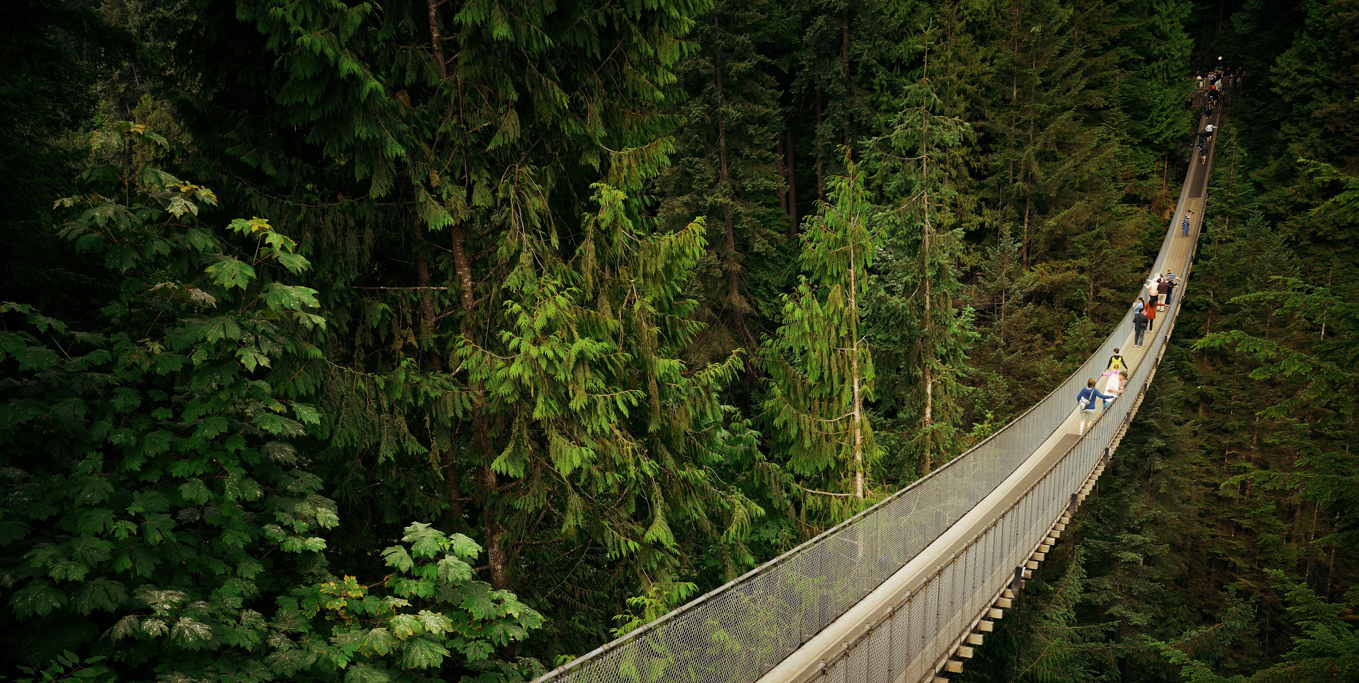 Capilano suspension bridge