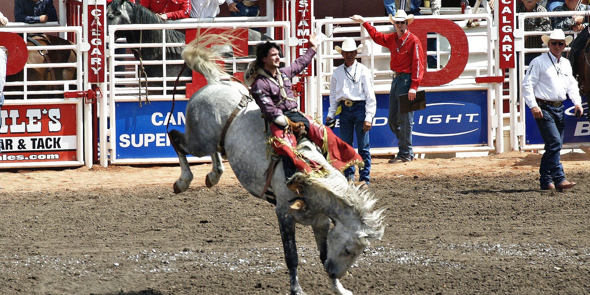 Calgary Stampede