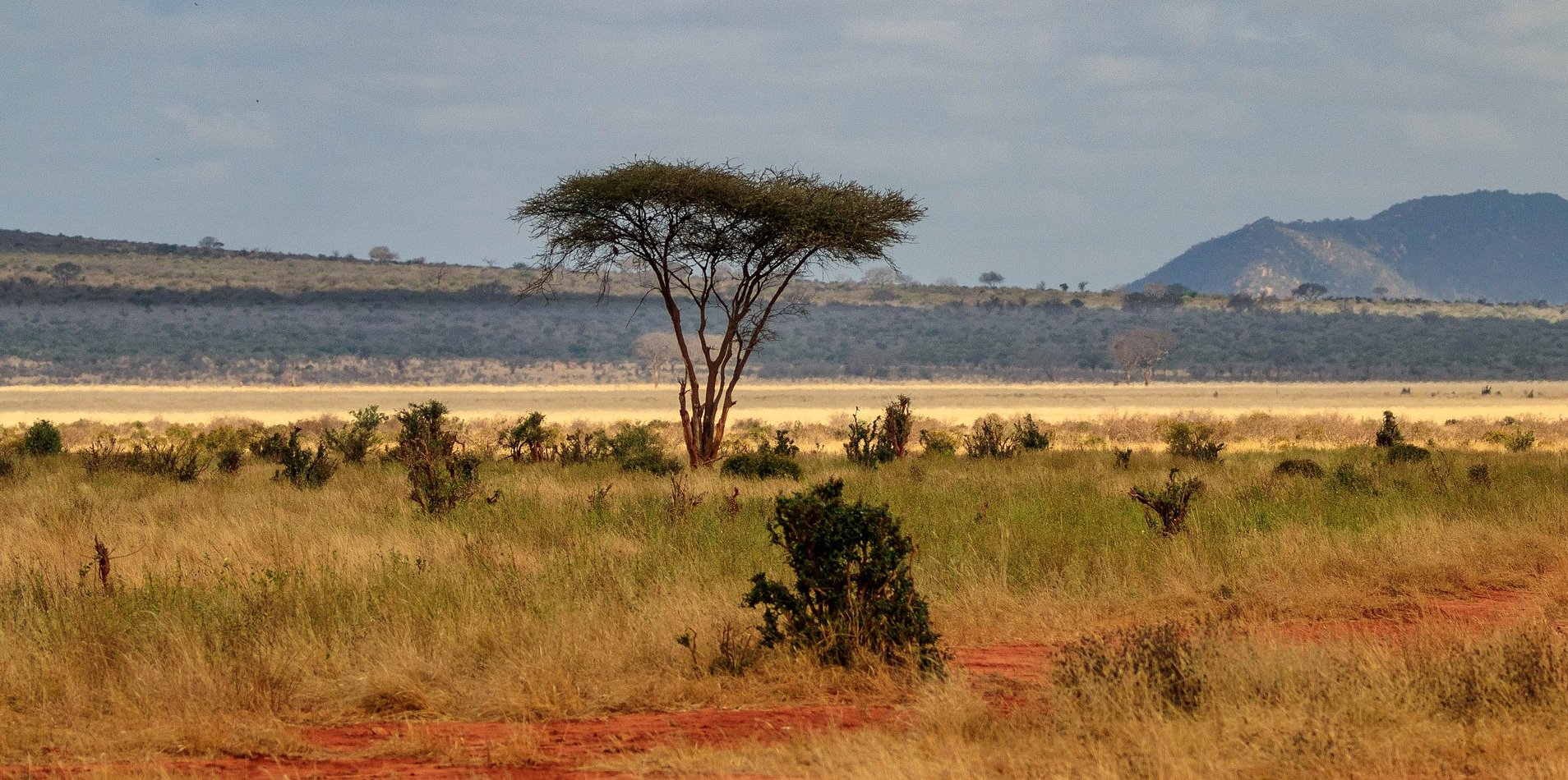 Landschap Tsavo East NP Kenia