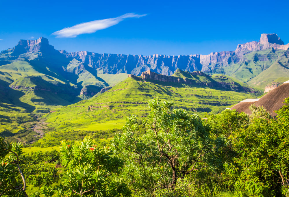 Leeuwen en Zuid-Afrikaanse Magie