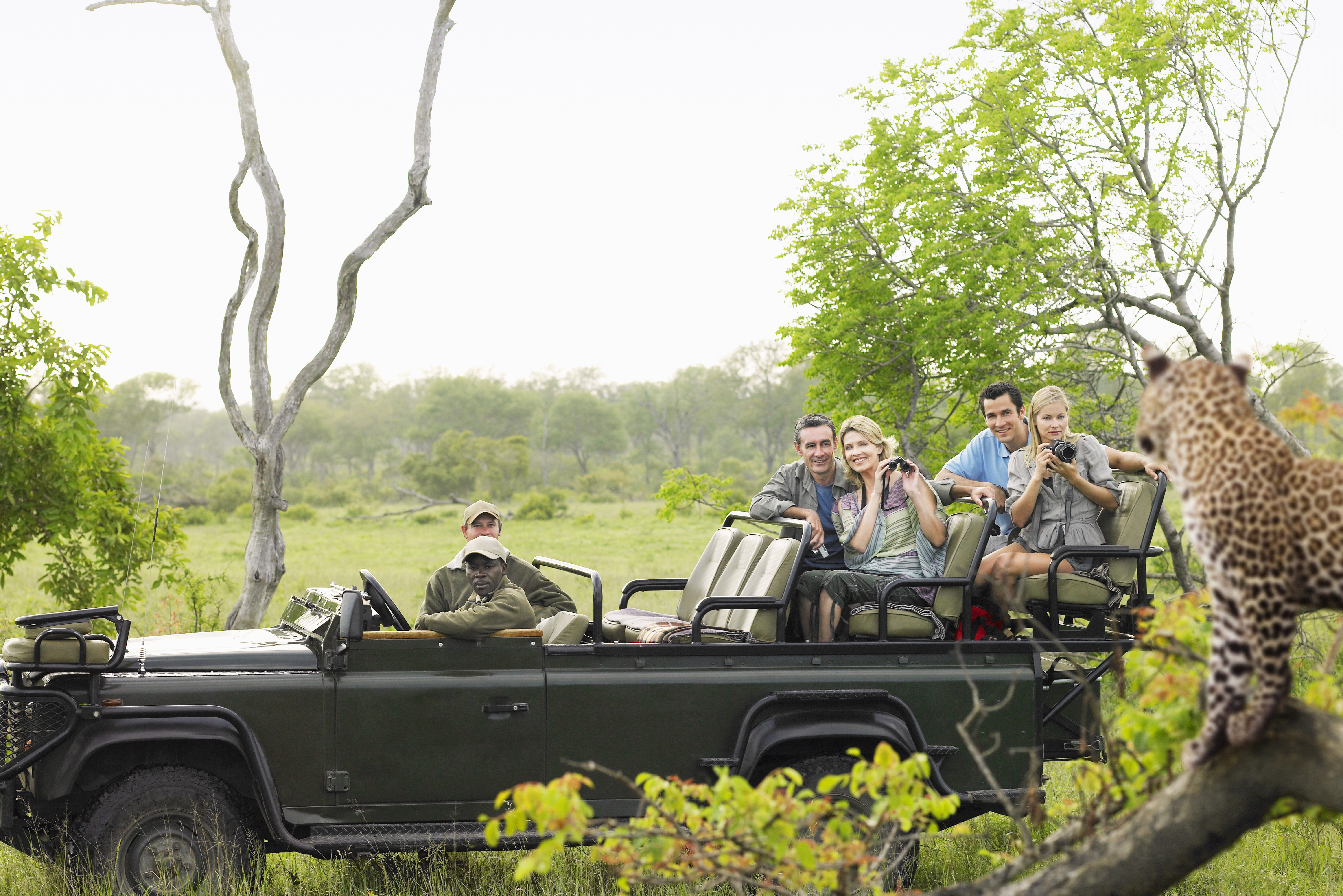 Luipaard tijdens game drive Zuid-Afrika