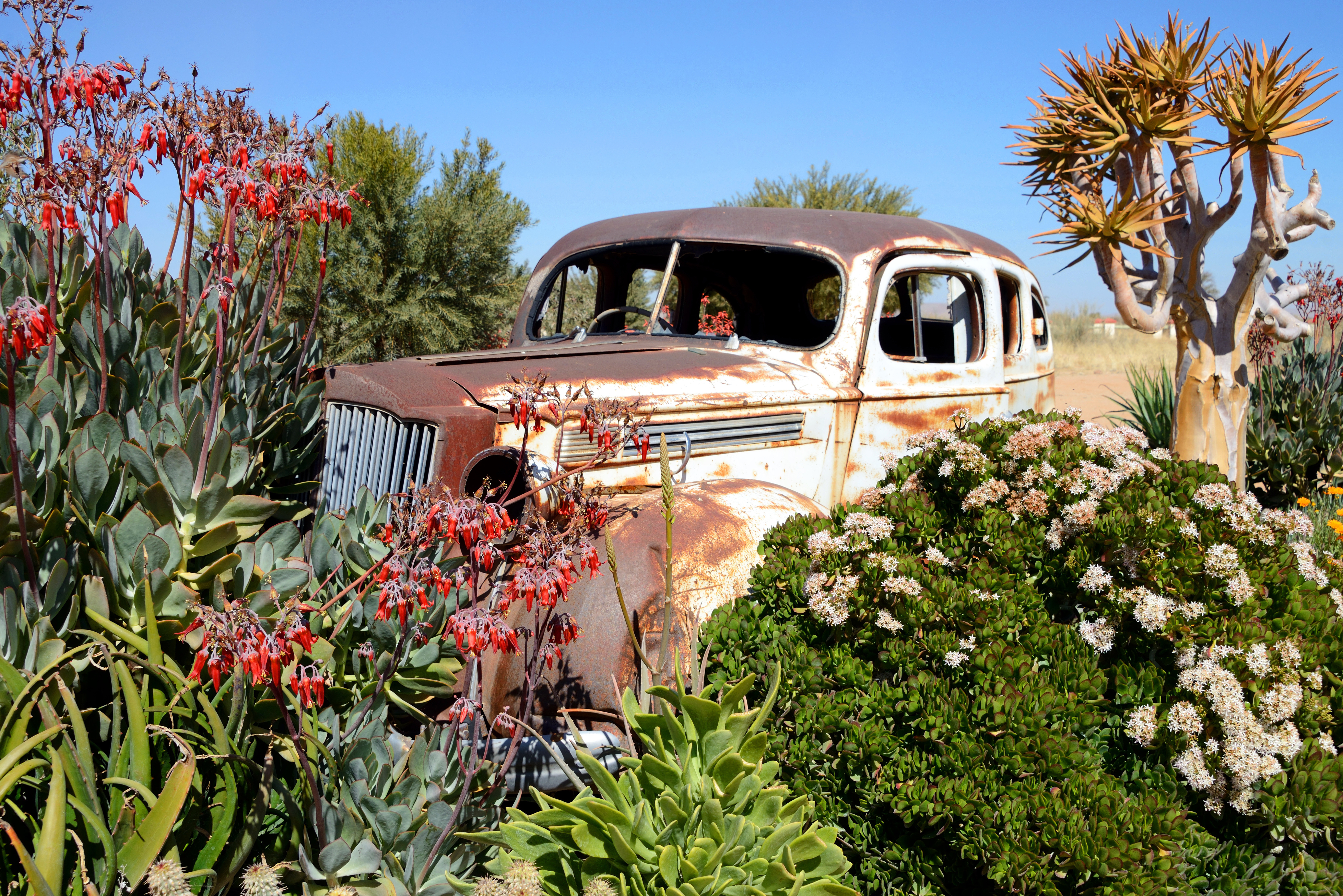 Oude auto in woestijn Namibie
