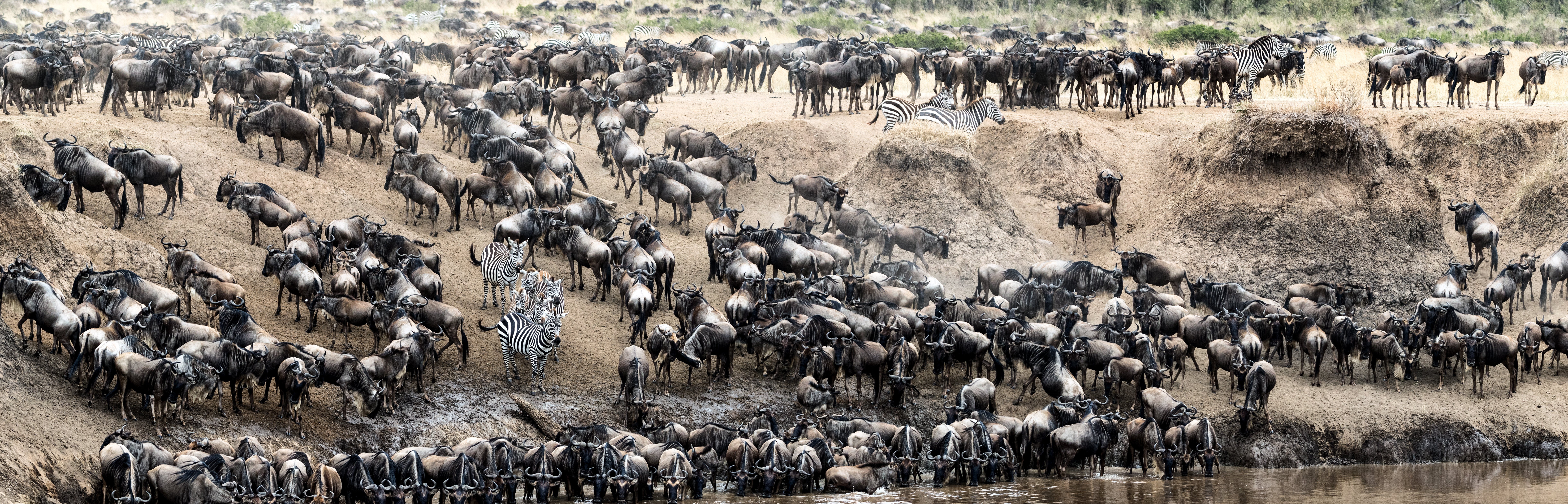Grote trek Kenia Masai Mara