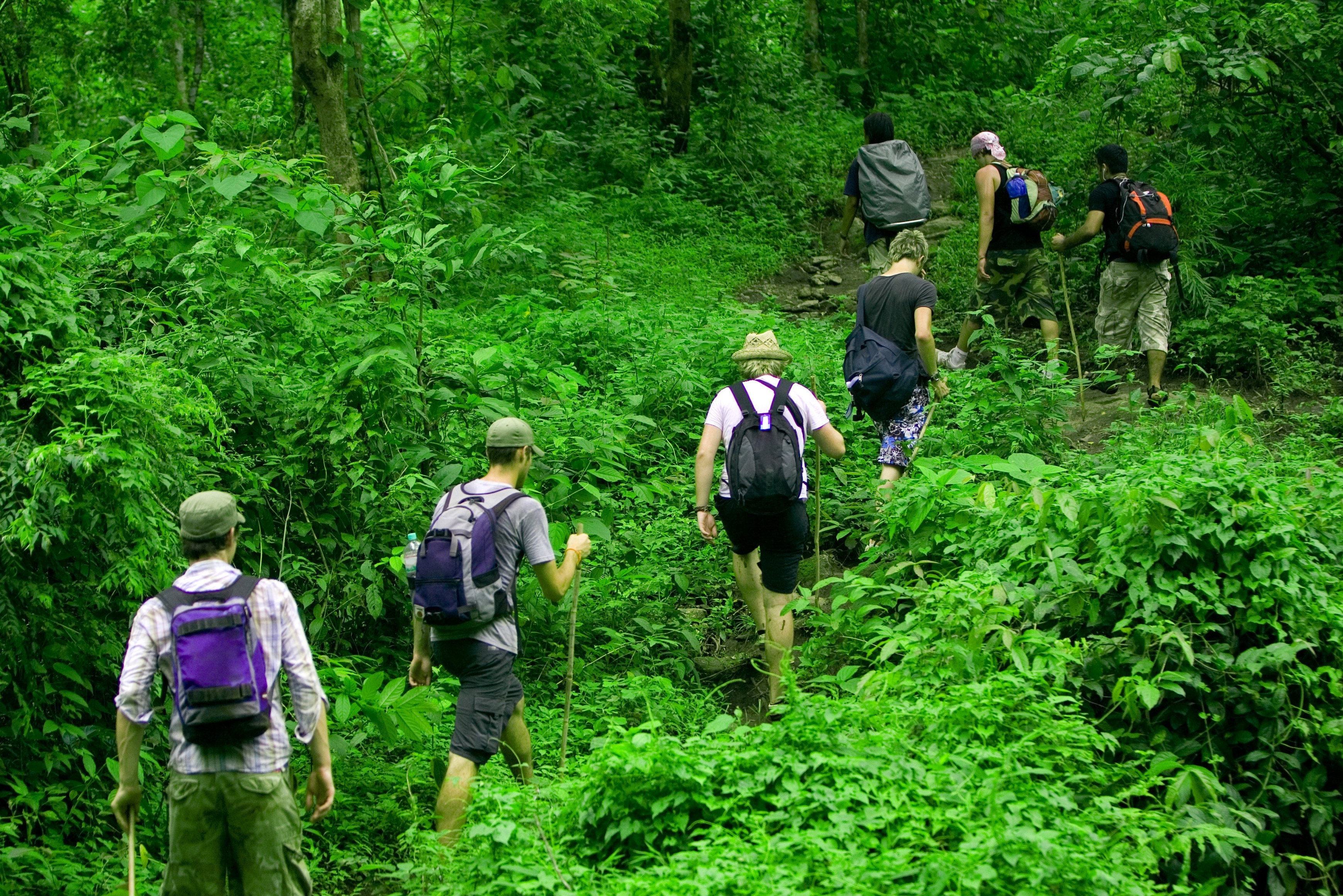 Jungle trekking in de omgeving van Chiang Mai