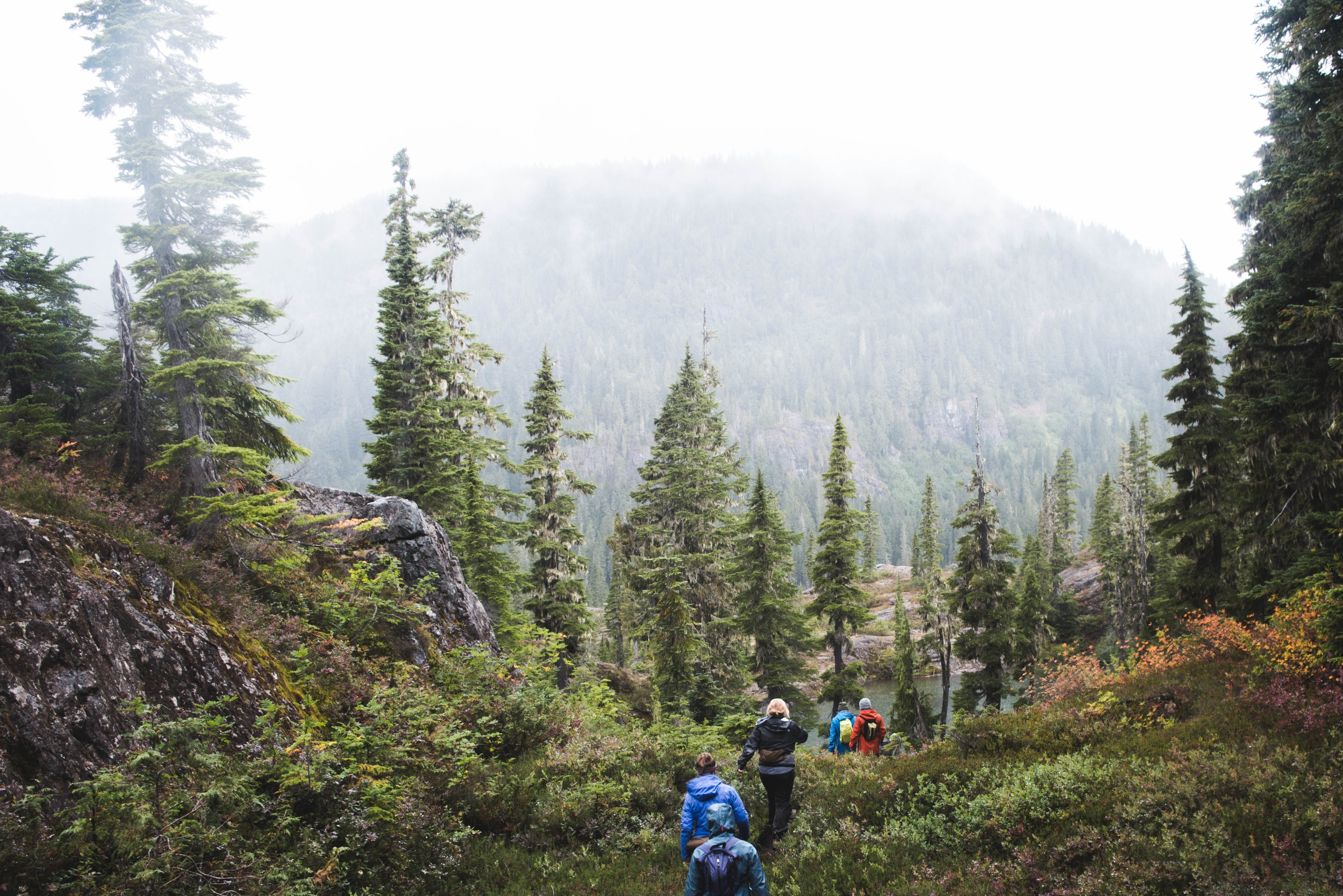 Wandelen in Strathcona Provincial Park op Vancouver Island