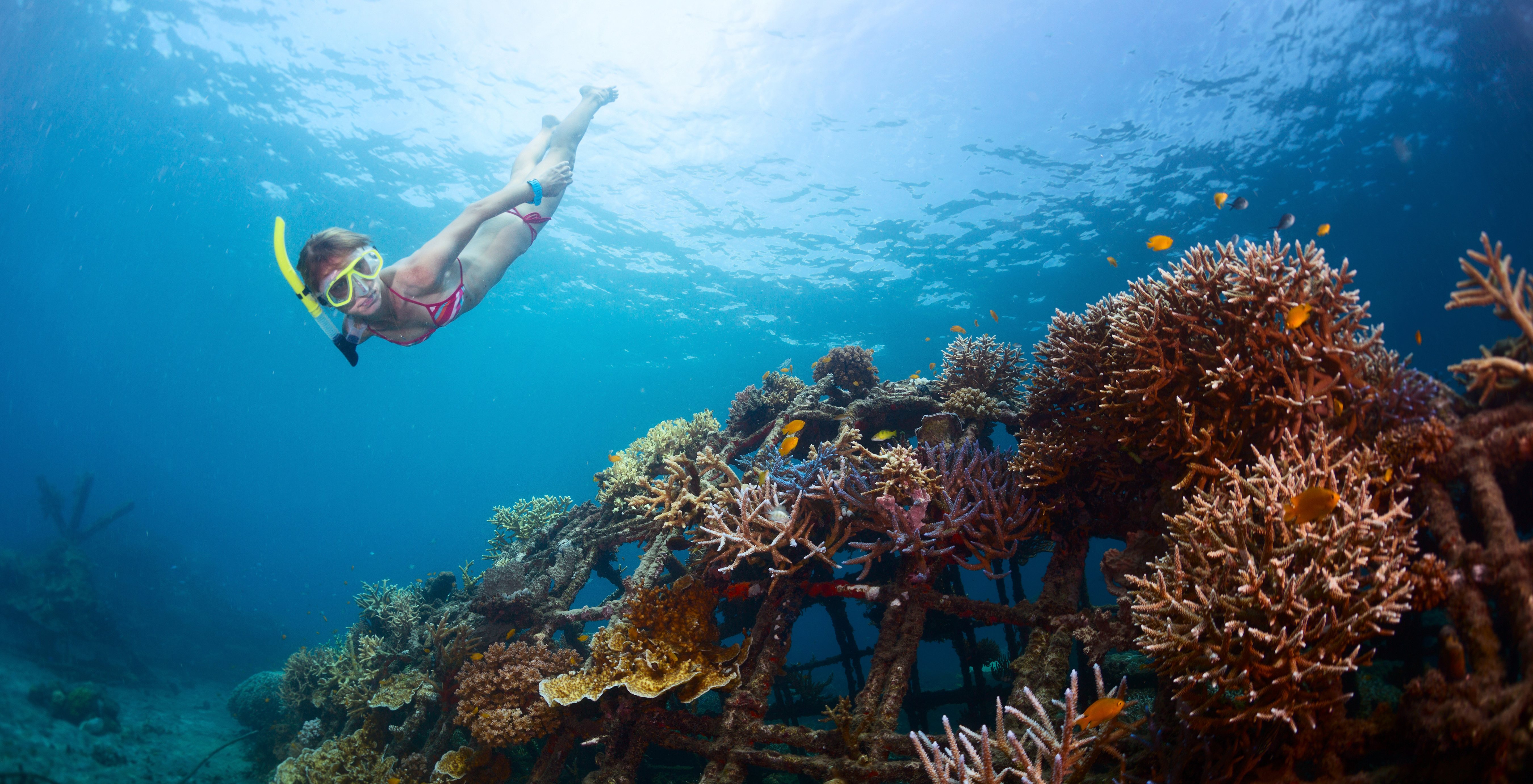indonesie bali snorkelen