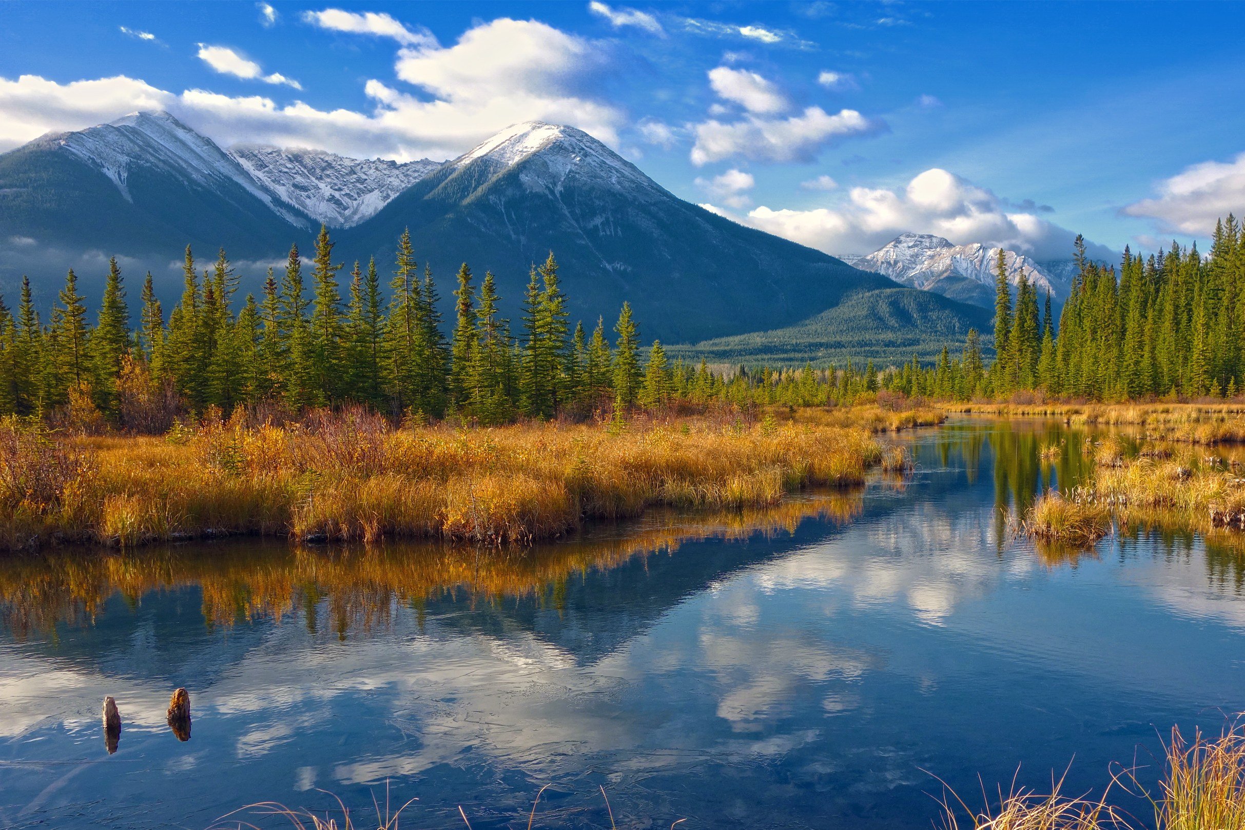 Natuur in het Jasper National Park