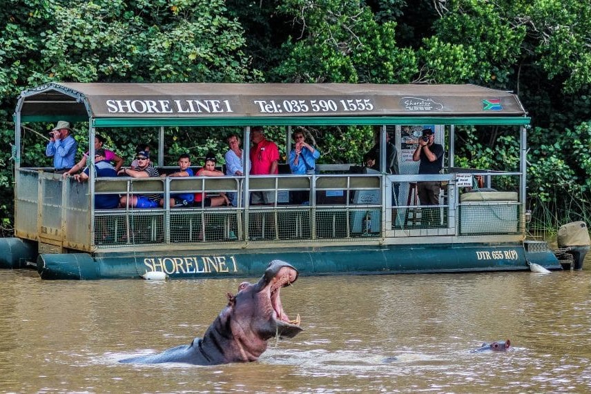 Nijlpaard boottocht in St. Lucia Zuid-Afrika