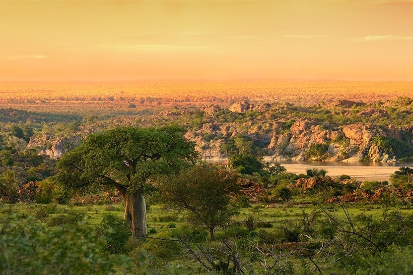 Mapungubwe National Park Limpopo in Zuid-Afrika