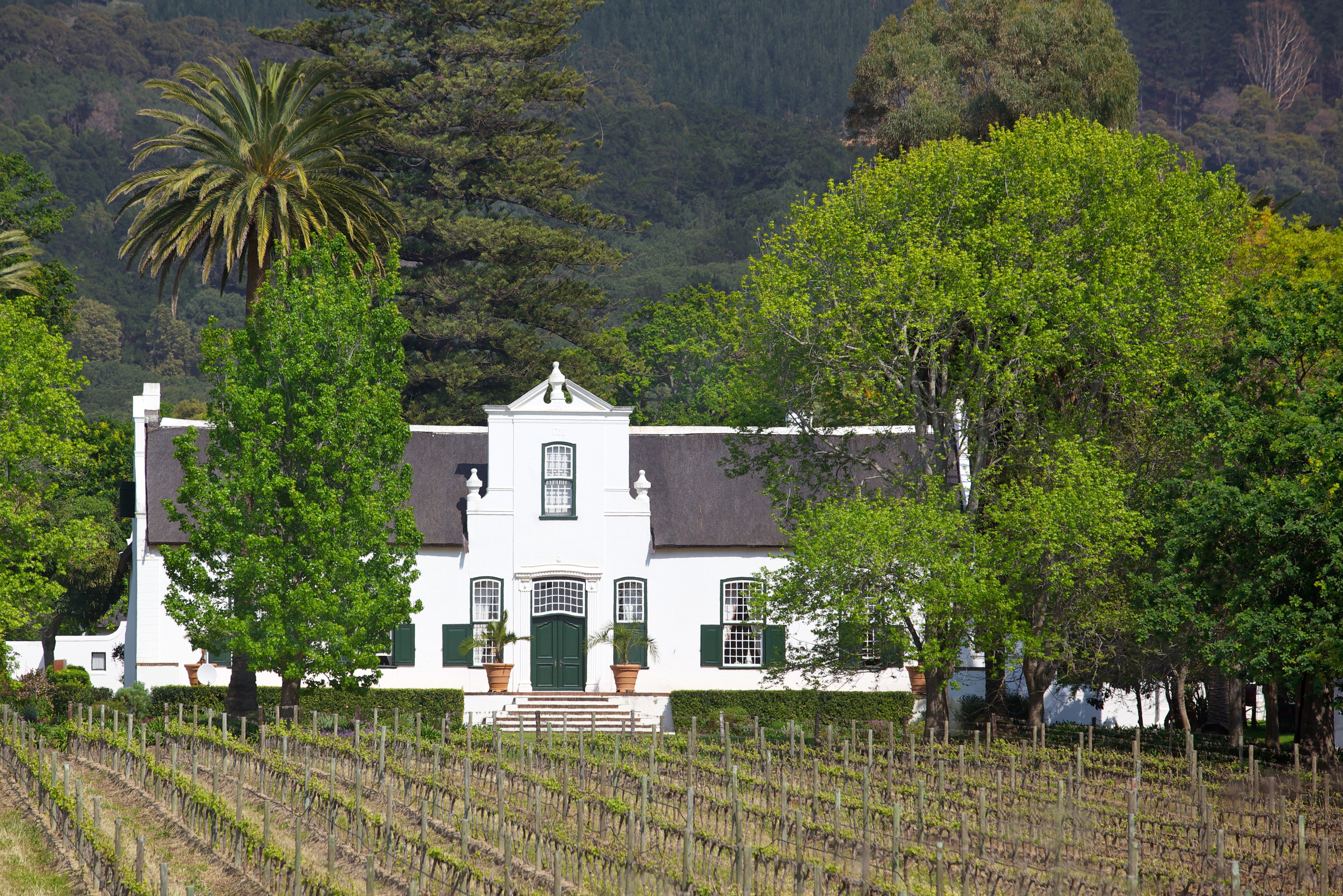 Kaapse Pracht wijnhuis Constantia Stellenbosch Zuid-Afrika