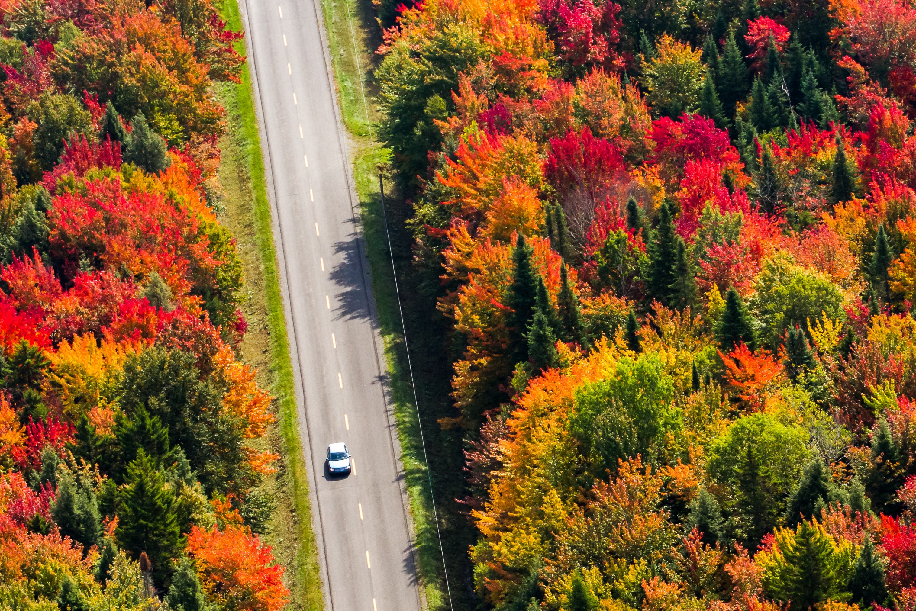 Indian Summer herstkleuren in Oost-Canada