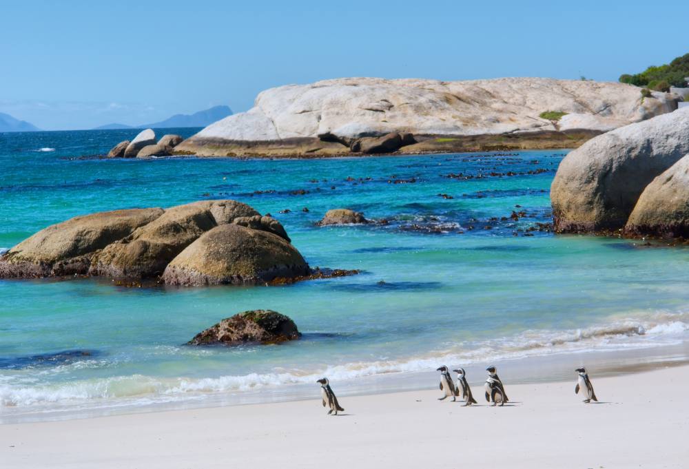 Grand Tour Zuid-Afrika Deluxe